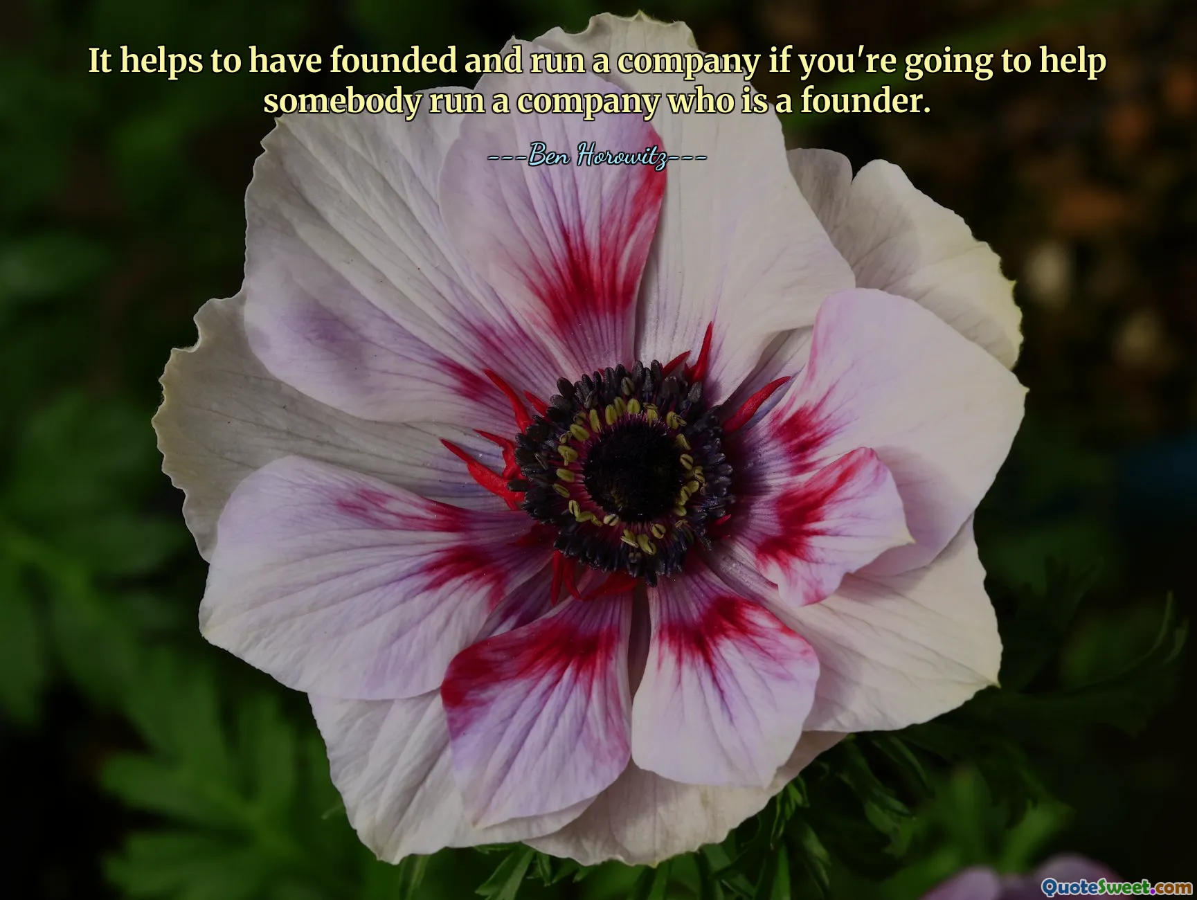 It helps to have founded and run a company if you're going to help somebody run a company who is a founder.