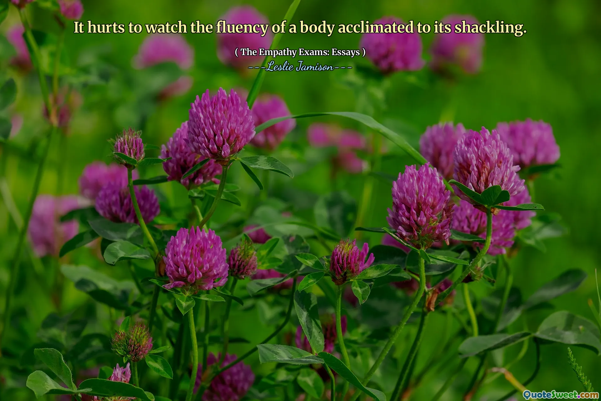 It hurts to watch the fluency of a body acclimated to its shackling.