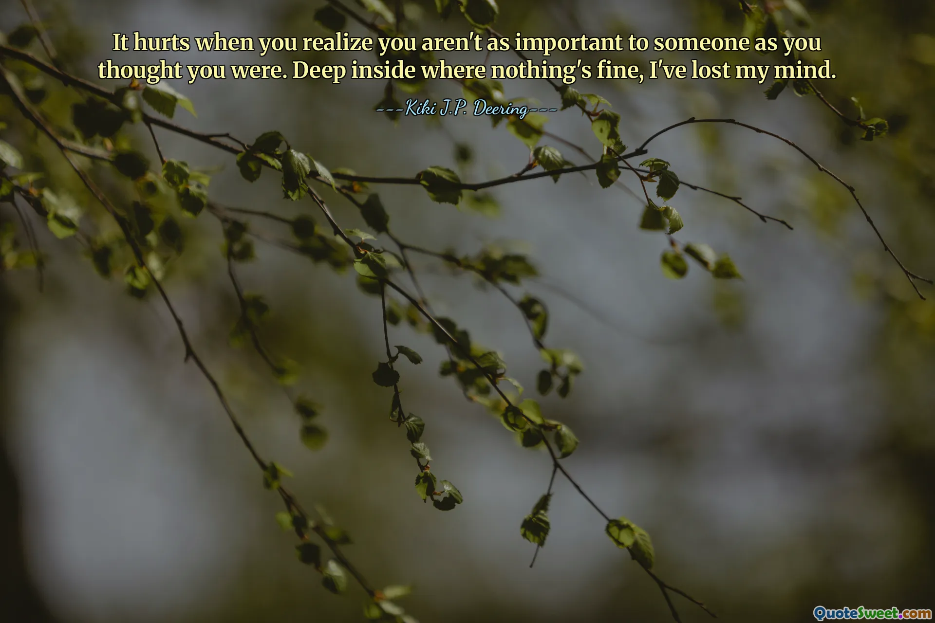 It hurts when you realize you aren't as important to someone as you thought you were. Deep inside where nothing's fine, I've lost my mind.