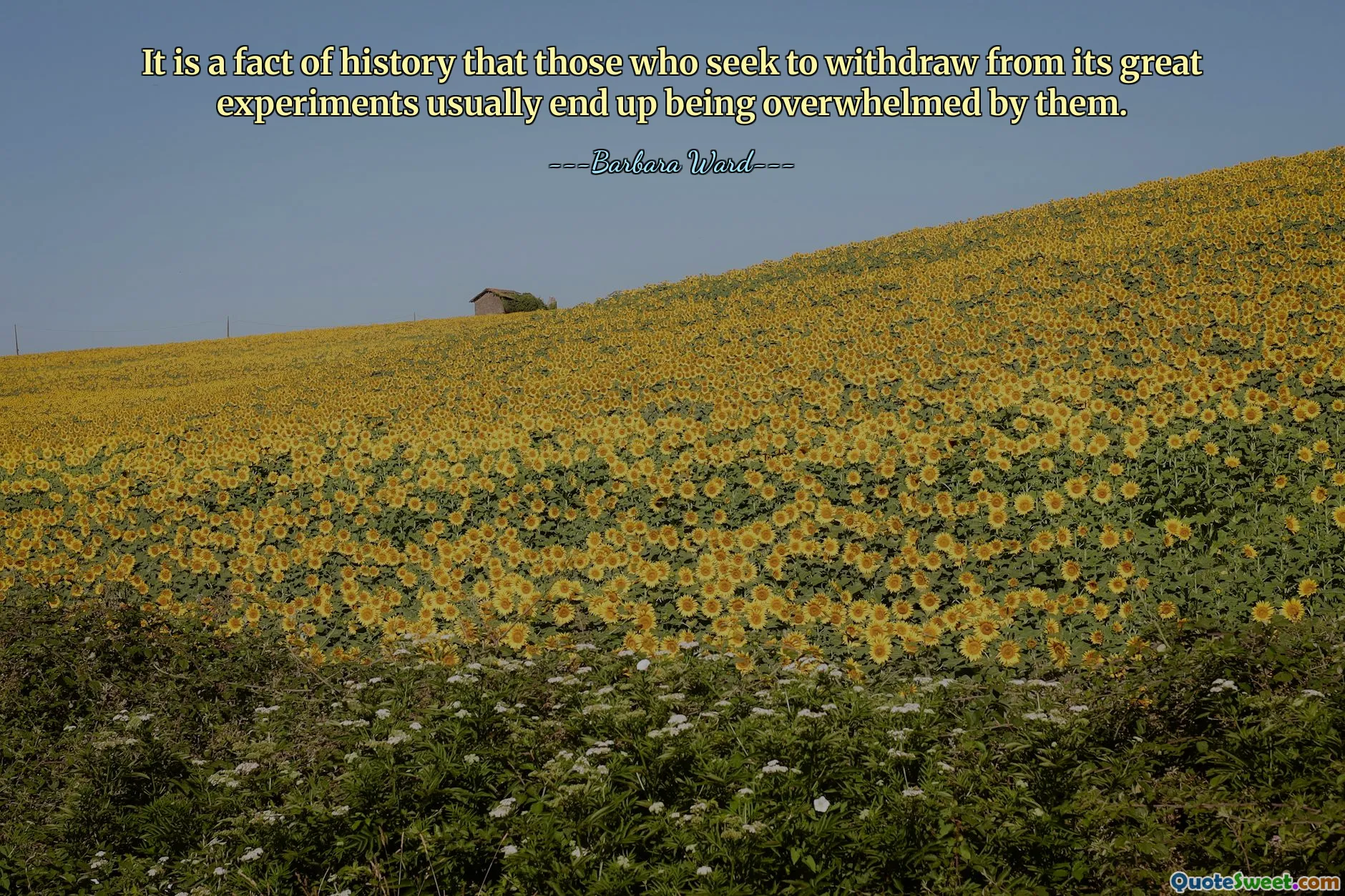 It is a fact of history that those who seek to withdraw from its great experiments usually end up being overwhelmed by them.