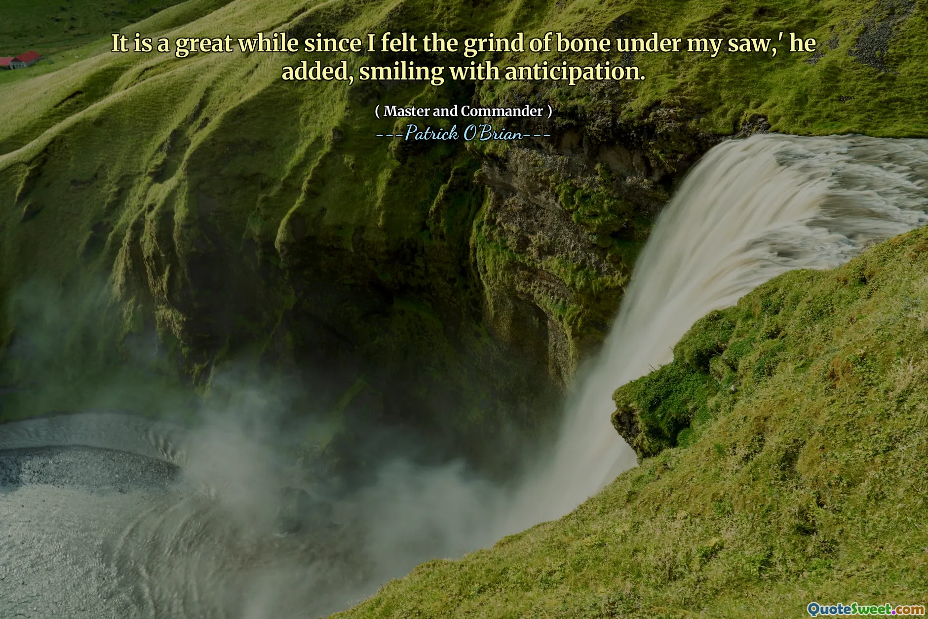 It is a great while since I felt the grind of bone under my saw,' he added, smiling with anticipation.