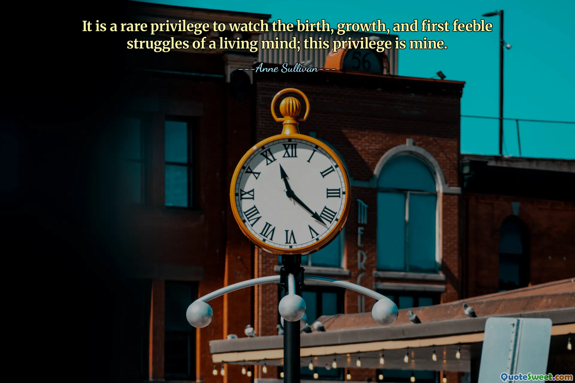 एक जीवित दिमाग के जन्म, विकास और पहले कमजोर संघर्ष को देखना एक दुर्लभ विशेषाधिकार है; यह विशेषाधिकार मेरा है.