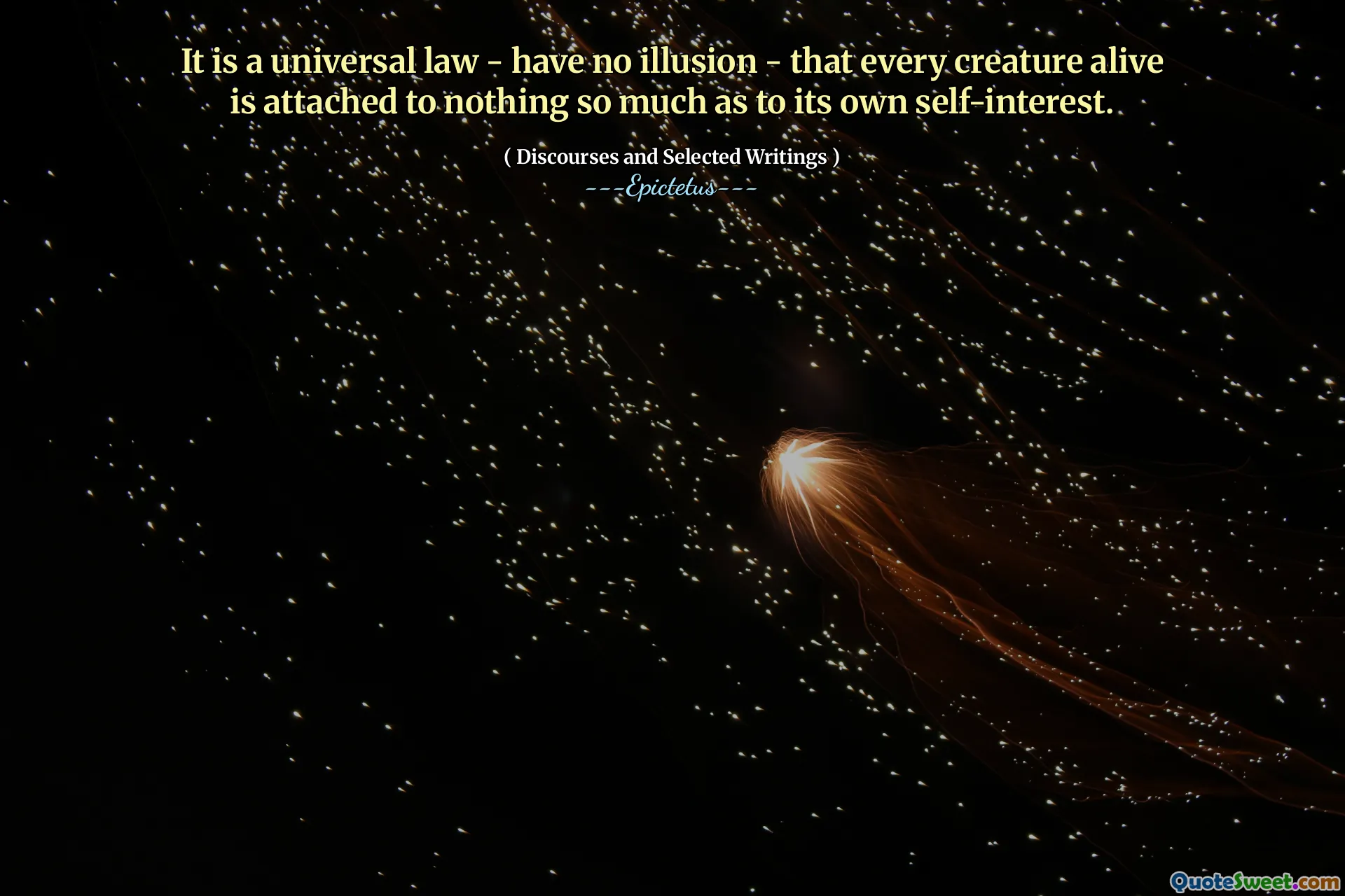 それは普遍的な法則であり、幻想はありません - 生きているすべての生き物は、それ自身の自己利益と同じくらい何も執着していません。