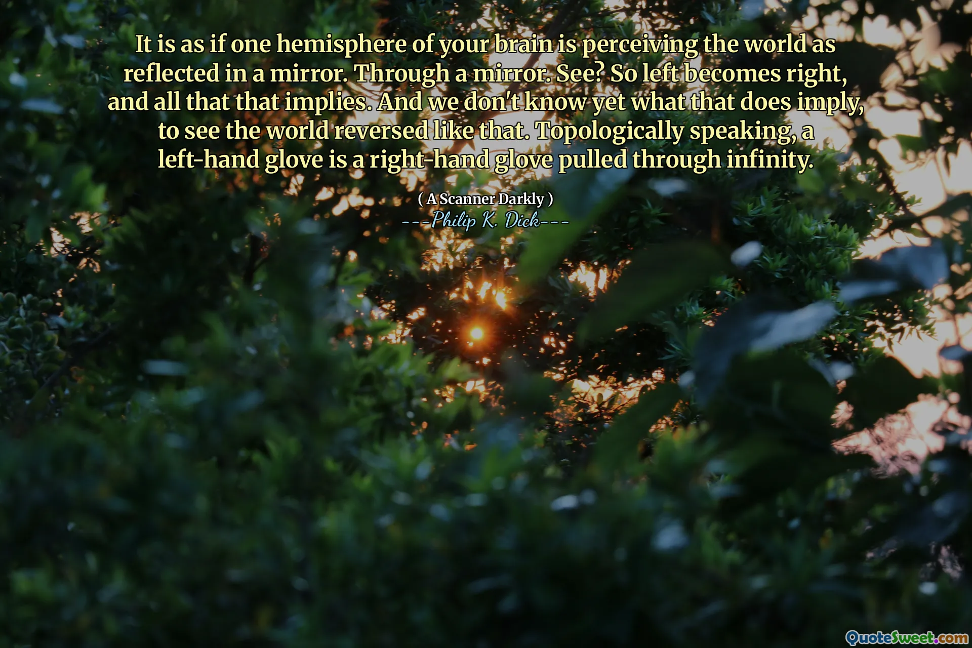 Det er som om en halvkule av hjernen din oppfatter verden som gjenspeiles i et speil. Gjennom et speil. Se? Så venstre blir høyre, og alt det som innebærer. Og vi vet ennå ikke hva det antyder, for å se verden omvendt slik. Topologisk sett er en hanskehanske en høyrehanske trukket gjennom uendelig.