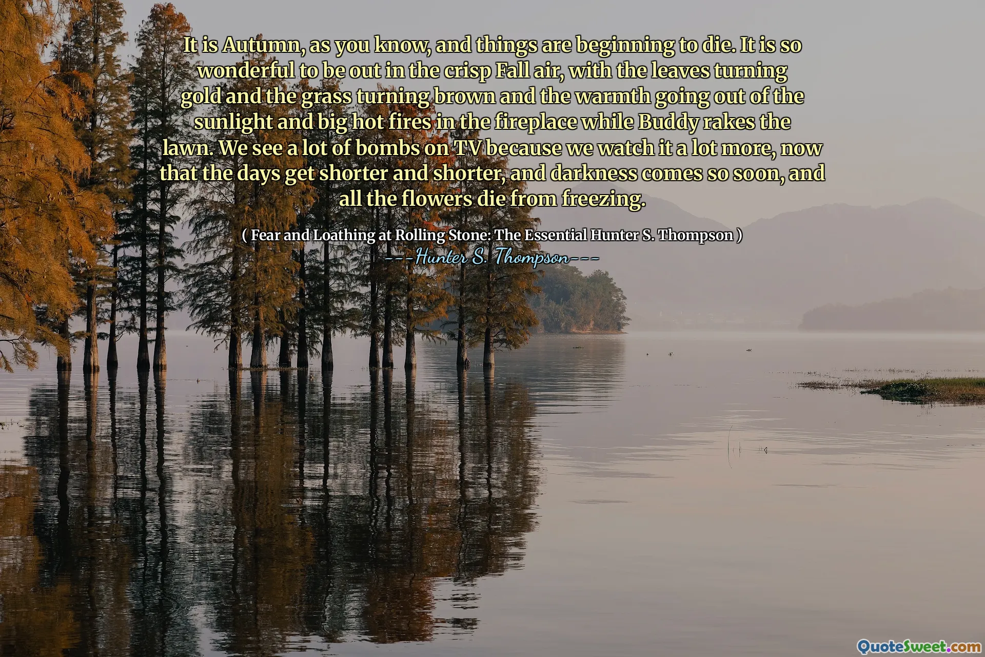 如您所知，这是秋天，事情开始消失。在清脆的秋天空气中出去真是太好了，叶子变成金，草变成棕色，阳光下的温暖和壁炉中的大火散发出来，而伙伴则rake草坪。我们在电视上看到了很多炸弹，因为我们现在看得更多，现在变越短，黑暗如此之快，所有的花朵都死于冰冻。