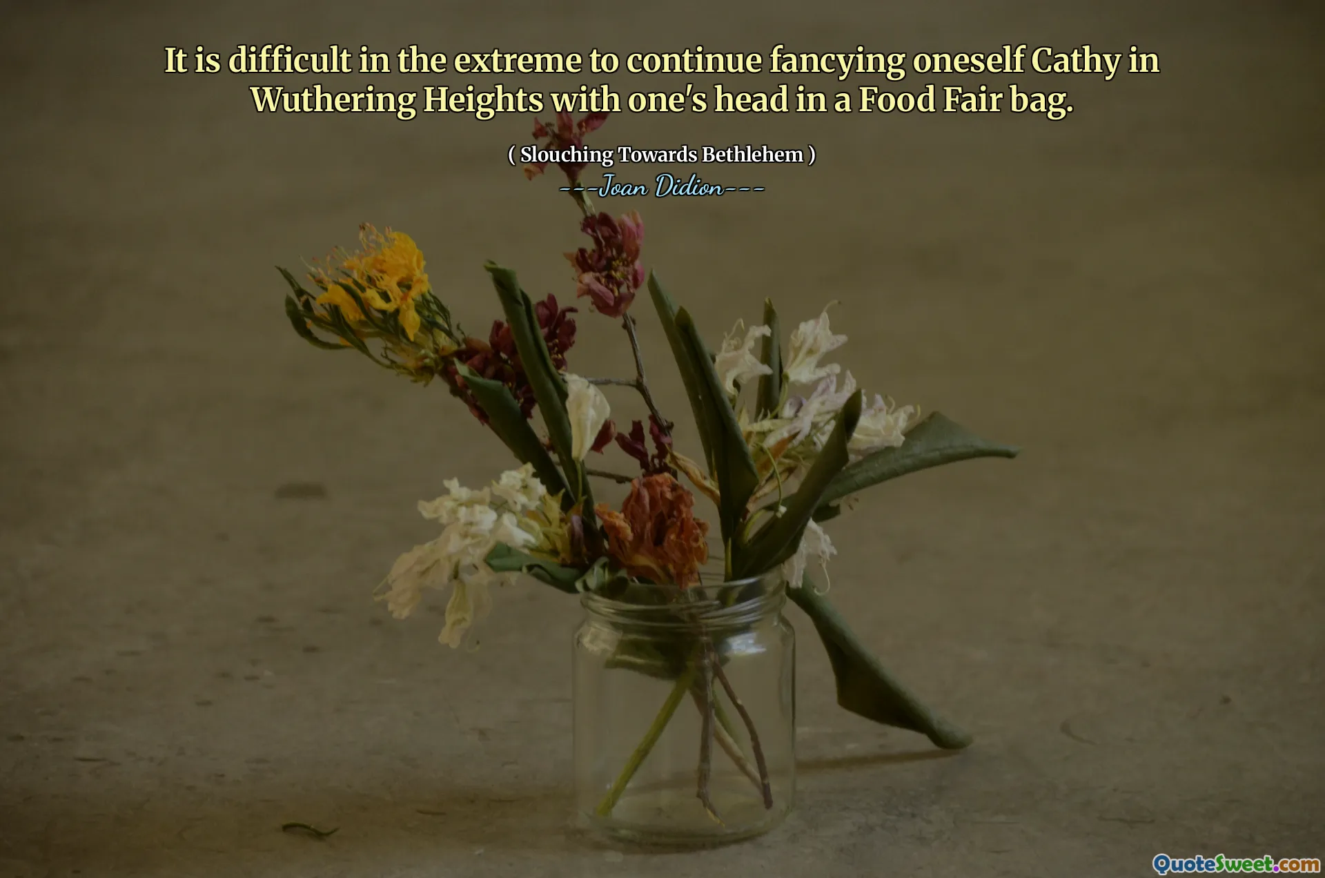 Det er vanskelig i det ekstreme å fortsette å fancy seg Cathy i Wuthering Heights med hodet i en matvarepose.