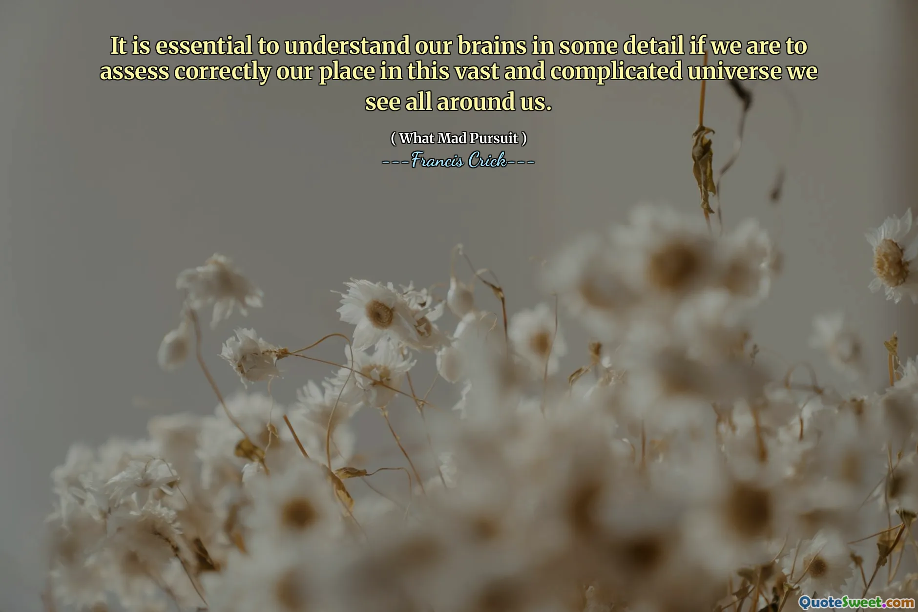 It is essential to understand our brains in some detail if we are to assess correctly our place in this vast and complicated universe we see all around us.