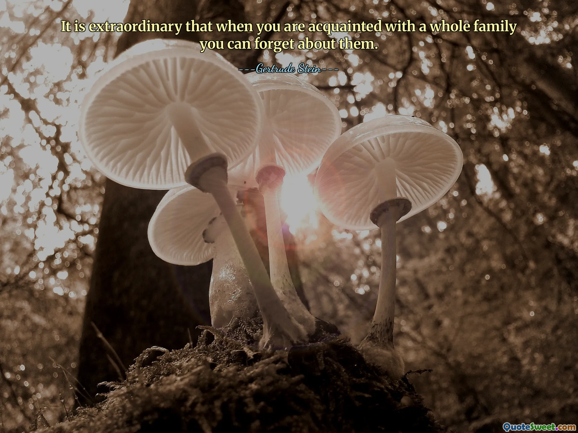 It is extraordinary that when you are acquainted with a whole family you can forget about them.