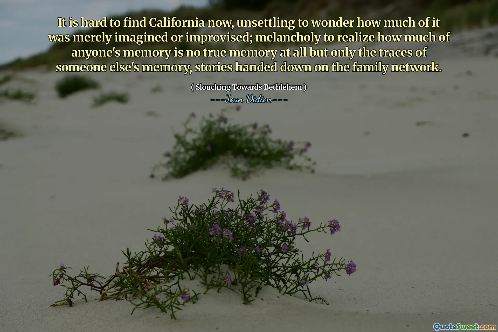 カリフォルニアを見つけるのは難しいです。それがどれだけ想像されたり即興であったりしたのか疑問に思うのは不安です。誰かの記憶のどれだけが真の記憶ではないことを理解するための憂鬱は、他の誰かの記憶の痕跡だけ、物語は家族ネットワークに伝えられました。