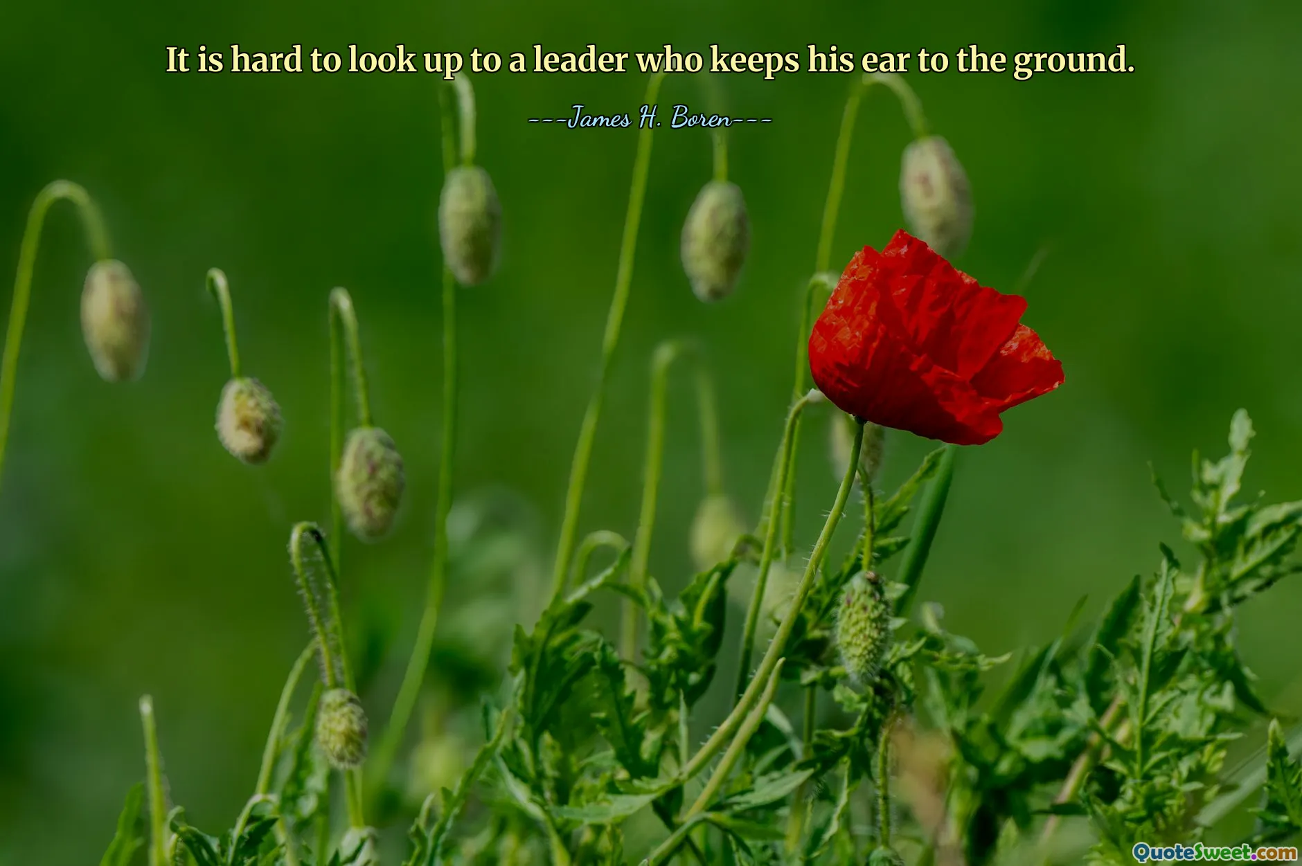 It is hard to look up to a leader who keeps his ear to the ground.