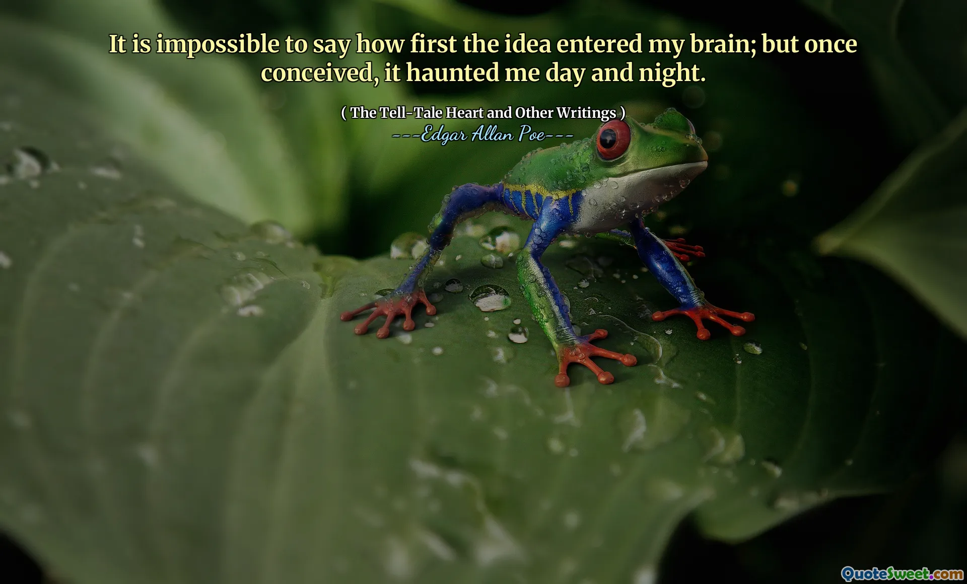 It is impossible to say how first the idea entered my brain; but once conceived, it haunted me day and night.