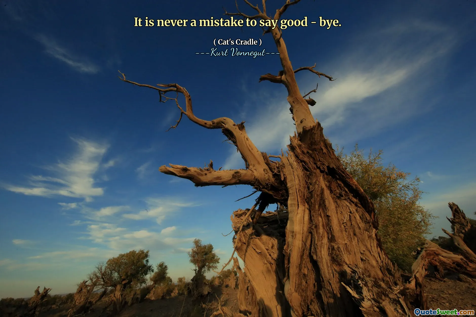 It is never a mistake to say good - bye.