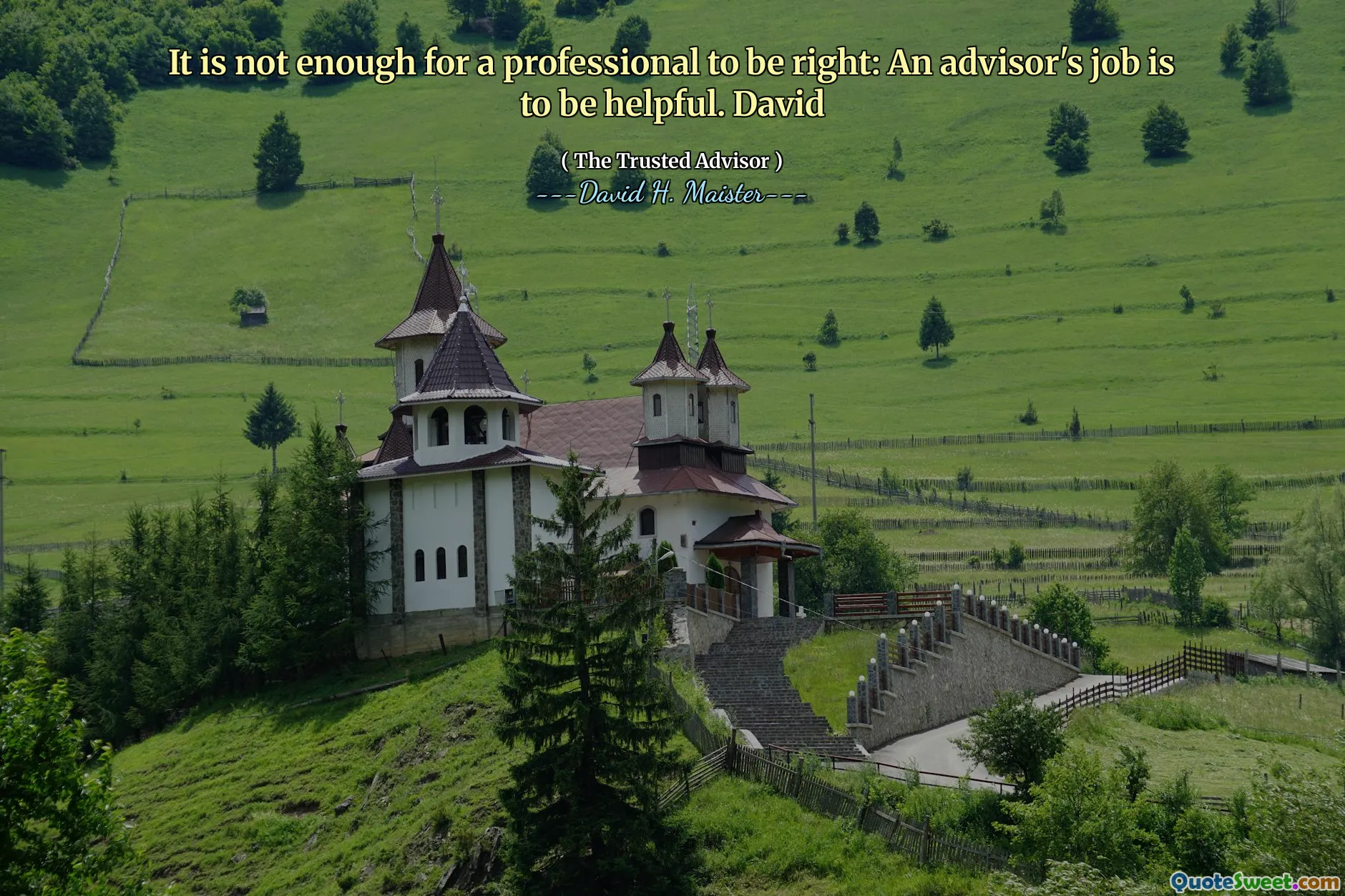 Не хватает профессионала, чтобы быть правильным: работа консультанта - быть полезной. Дэйвид