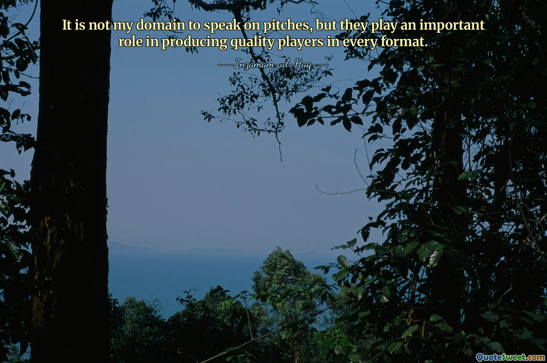 在球场上发言不是我的职责，但他们在培养各种形式的优质球员方面发挥着重要作用。