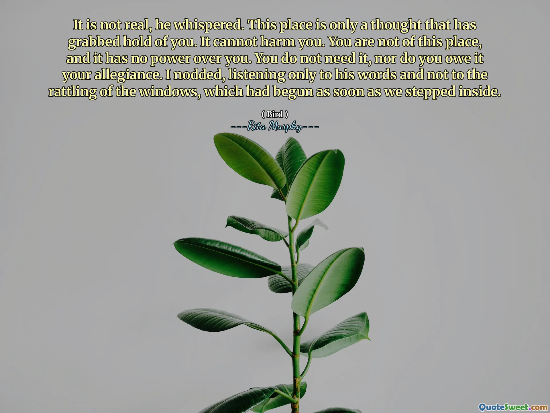 It is not real, he whispered. This place is only a thought that has grabbed hold of you. It cannot harm you. You are not of this place, and it has no power over you. You do not need it, nor do you owe it your allegiance. I nodded, listening only to his words and not to the rattling of the windows, which had begun as soon as we stepped inside.