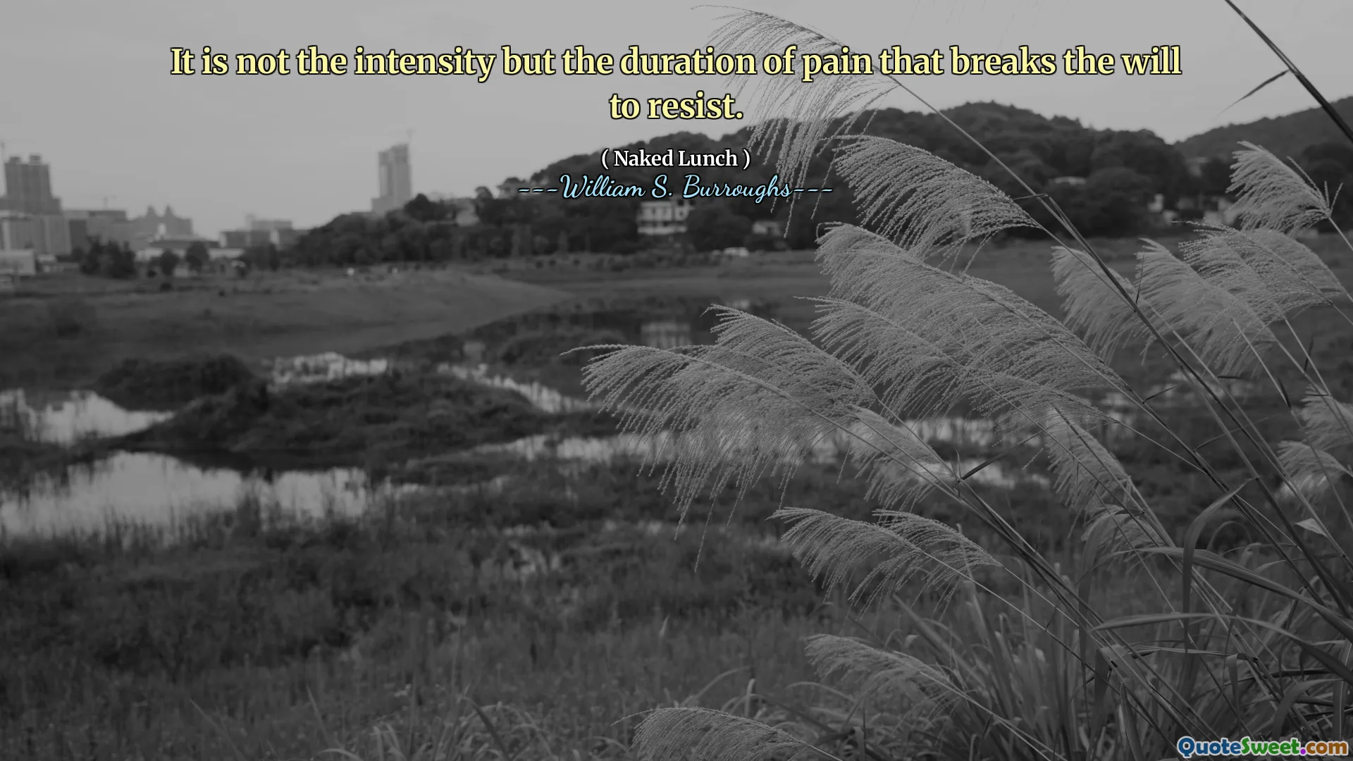 It is not the intensity but the duration of pain that breaks the will to resist.