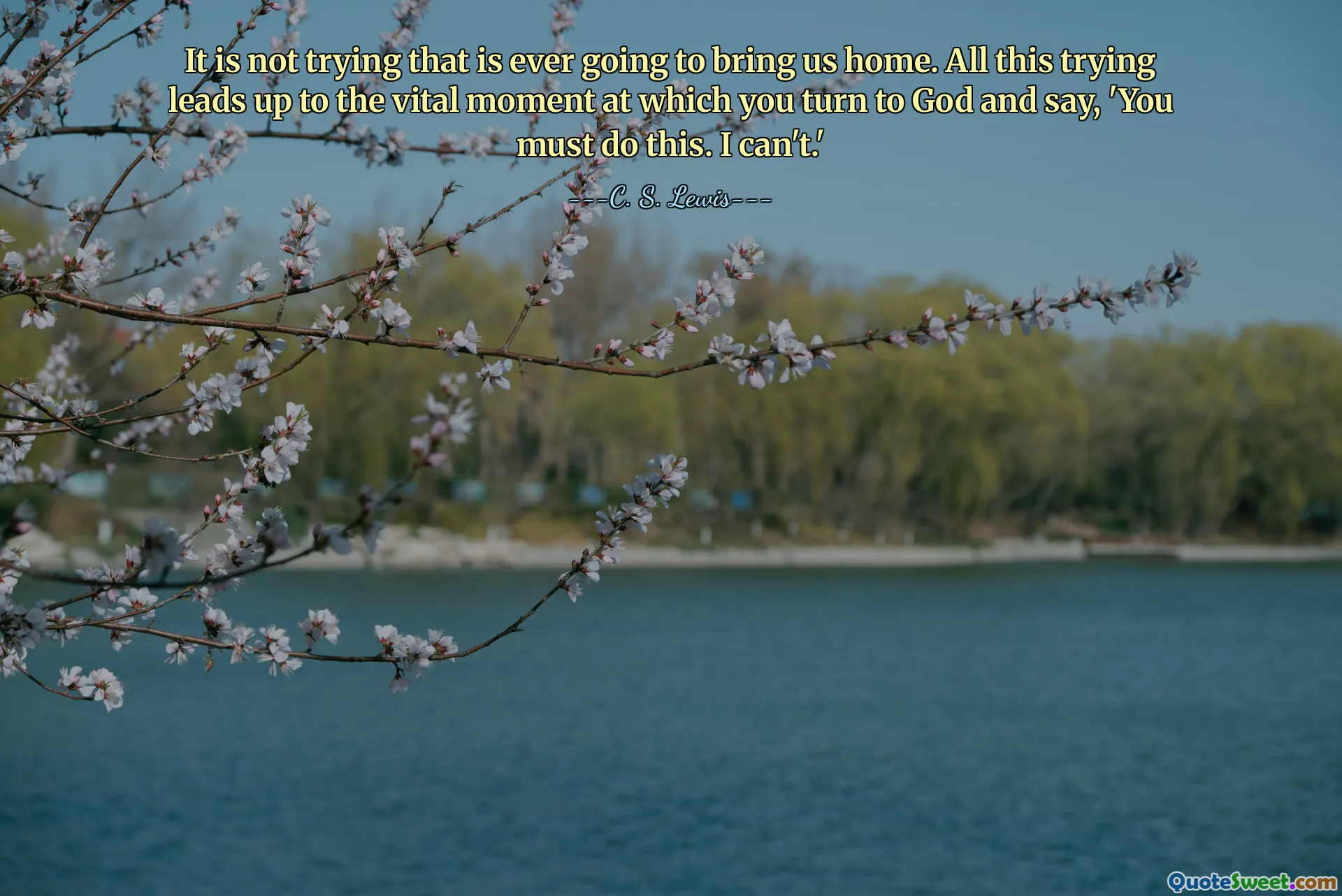 It is not trying that is ever going to bring us home. All this trying leads up to the vital moment at which you turn to God and say, 'You must do this. I can't.'