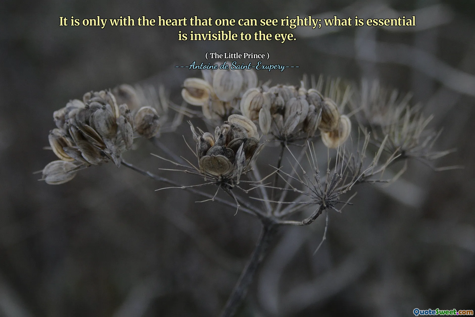 It is only with the heart that one can see rightly; what is essential is invisible to the eye.
