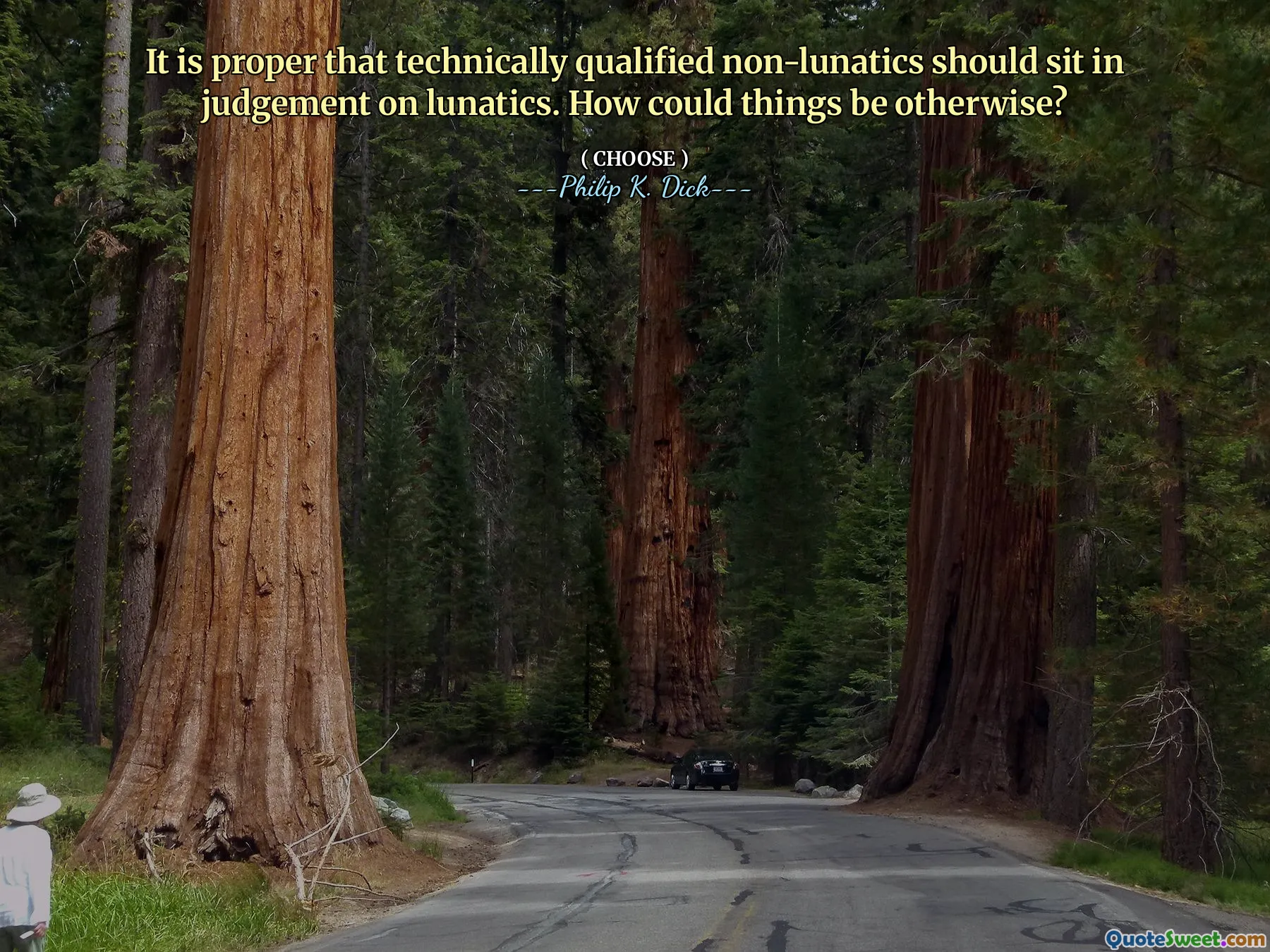 It is proper that technically qualified non-lunatics should sit in judgement on lunatics. How could things be otherwise?