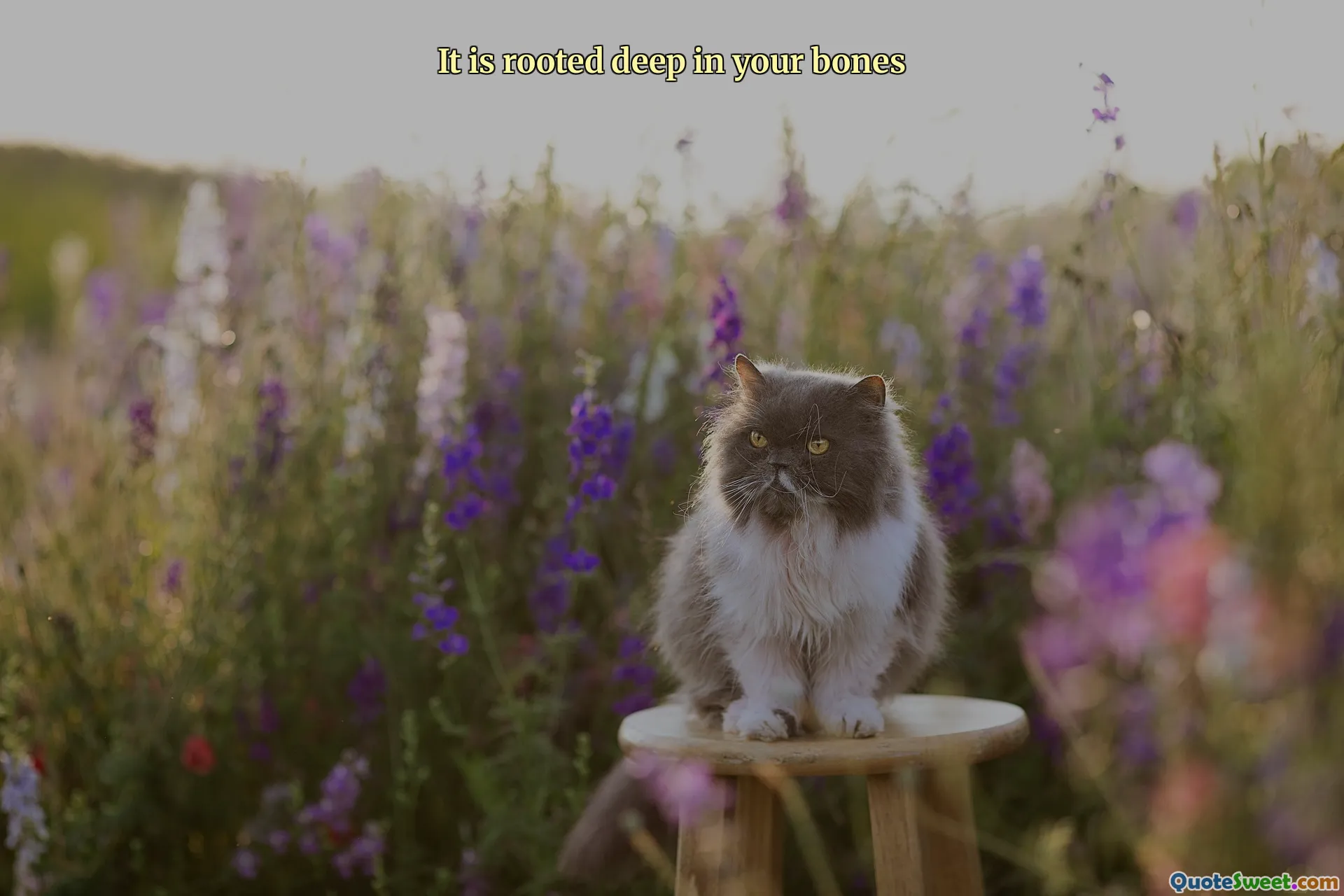 It is rooted deep in your bones