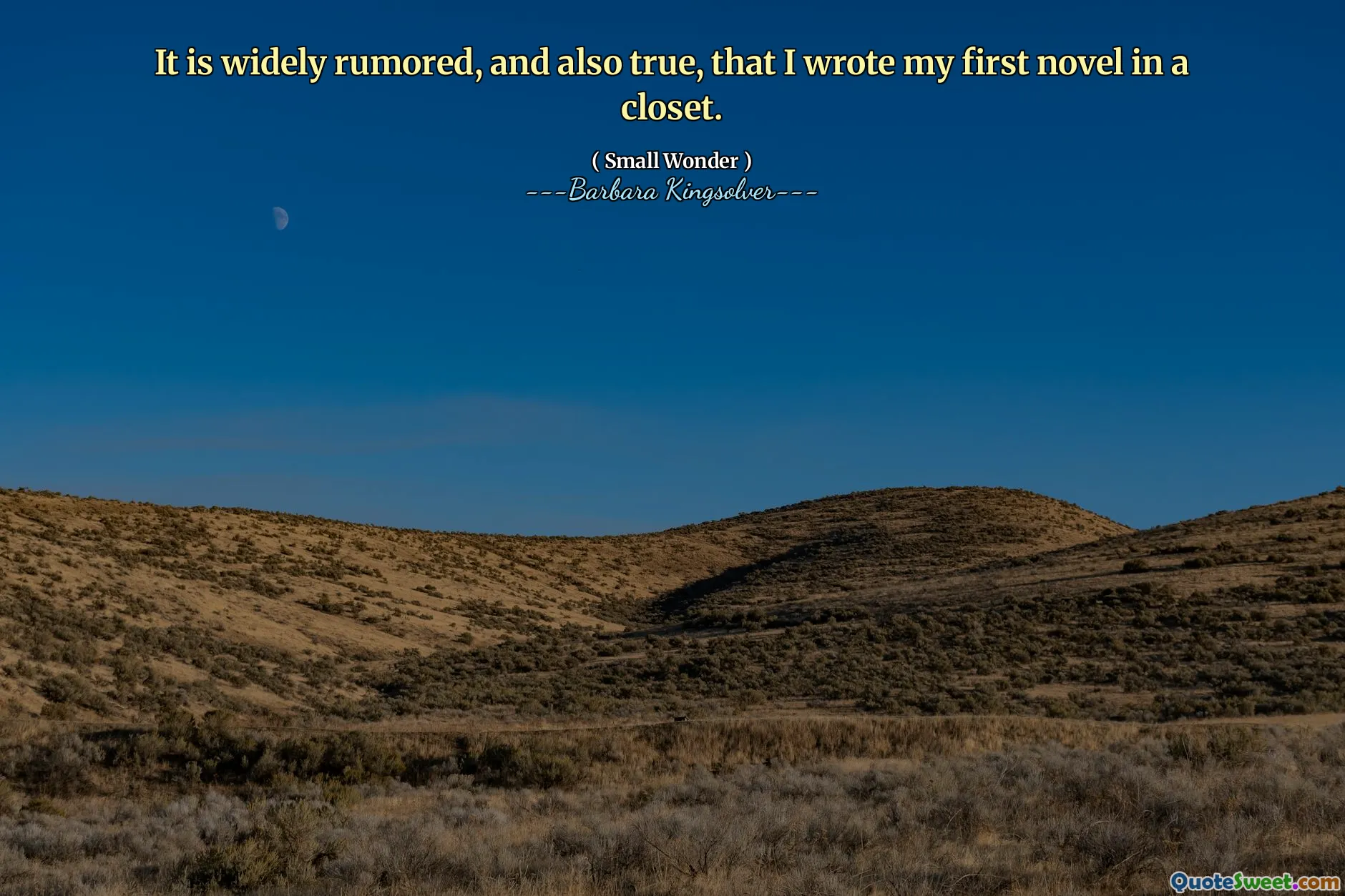我在壁橱里写了我的第一本小说，这是广泛的传闻，也是如此。