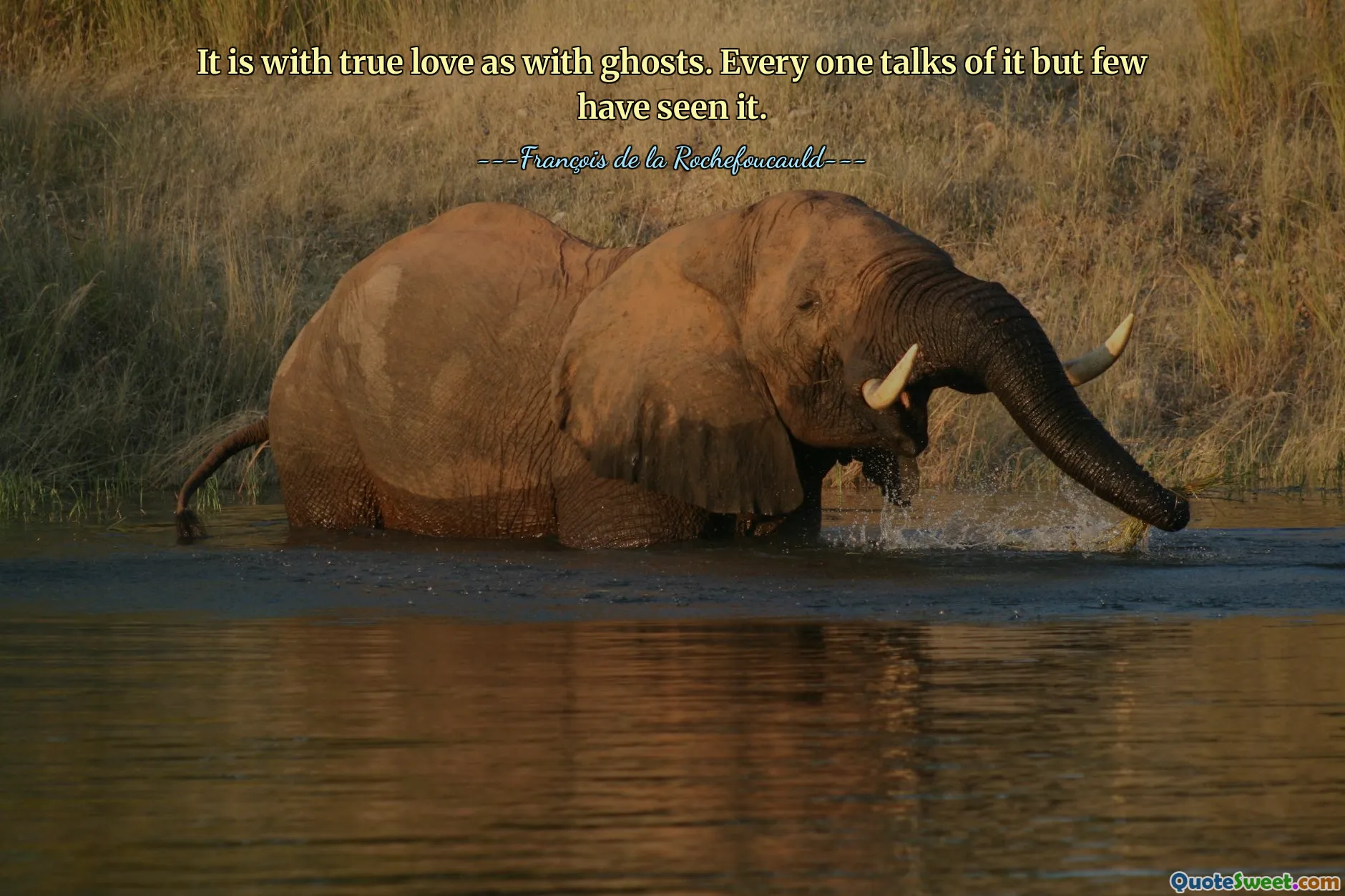 It is with true love as with ghosts. Every one talks of it but few have seen it.