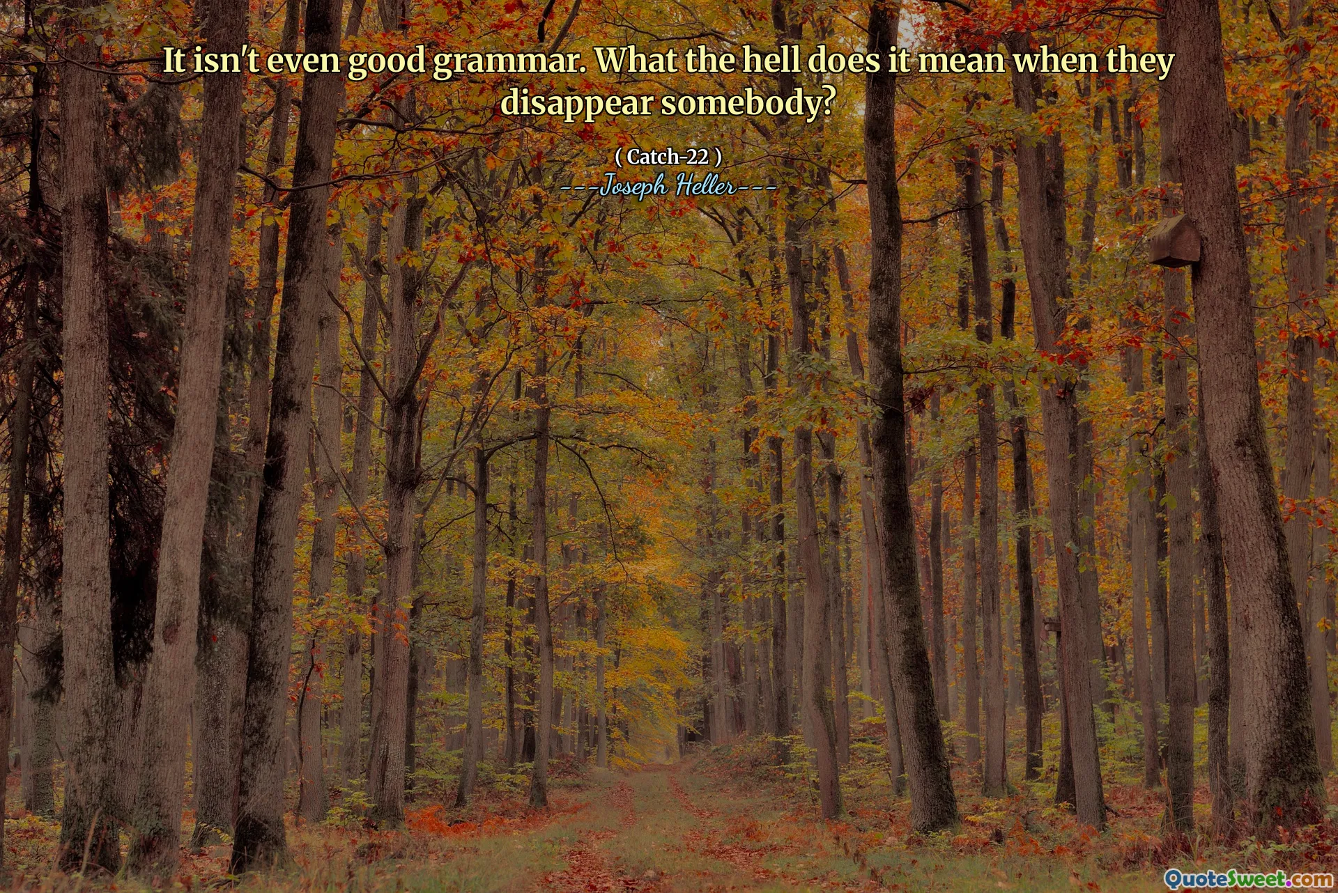 Det är inte ens bra grammatik. Vad i helvete betyder det när de försvinner någon?