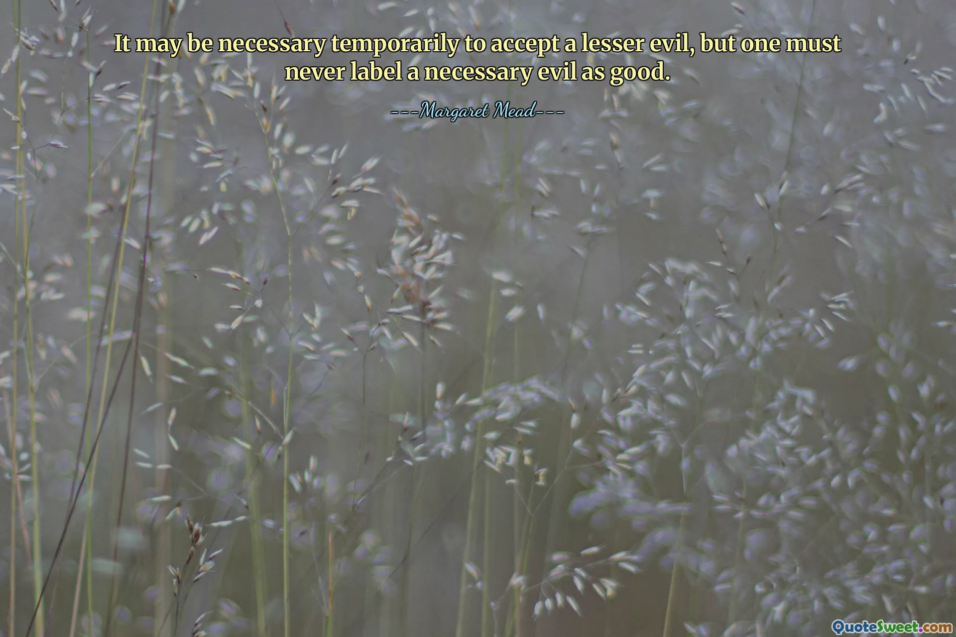 It may be necessary temporarily to accept a lesser evil, but one must never label a necessary evil as good.