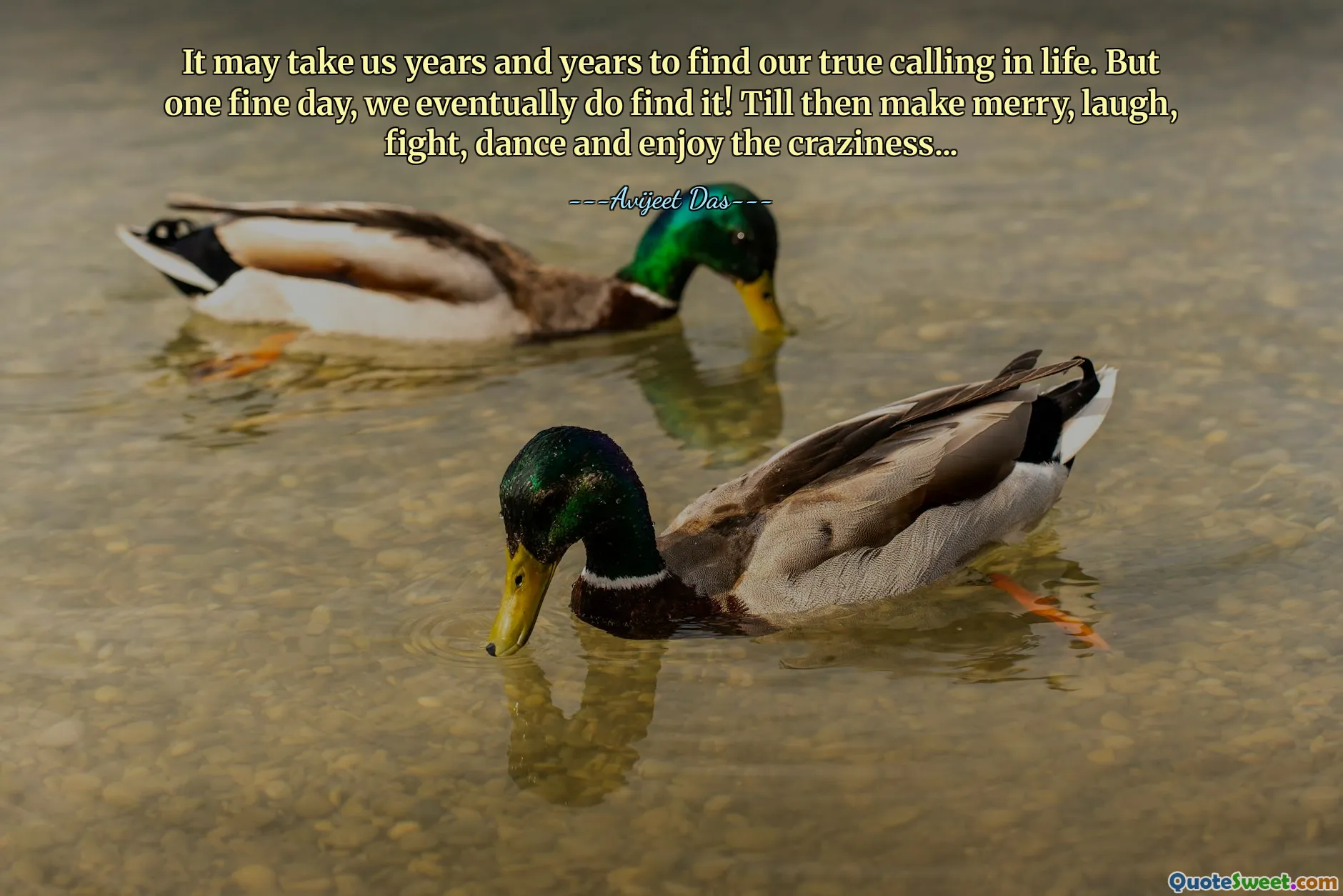 It may take us years and years to find our true calling in life. But one fine day, we eventually do find it! Till then make merry, laugh, fight, dance and enjoy the craziness...