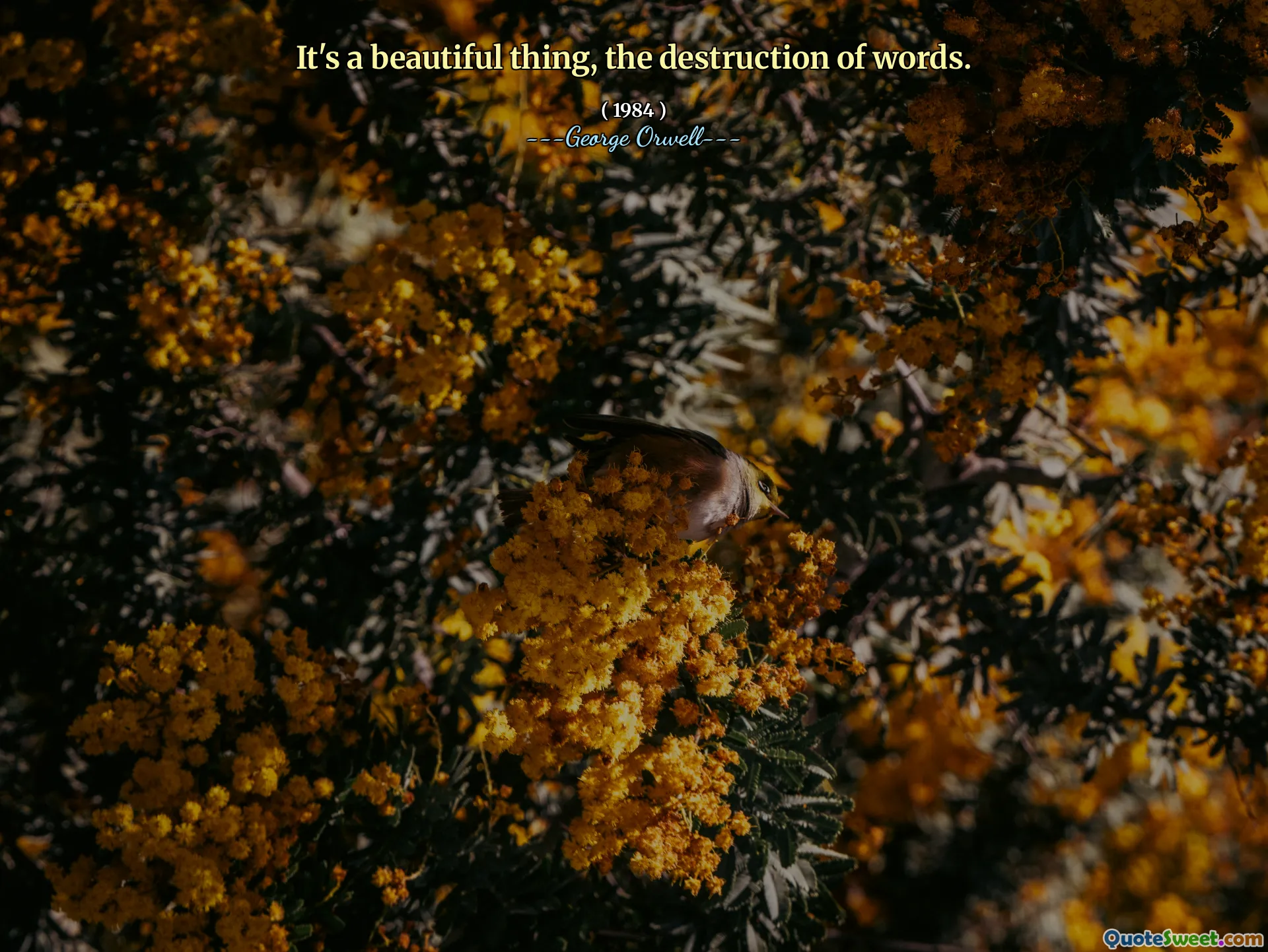 Es ist eine schöne Sache, die Zerstörung von Wörtern.