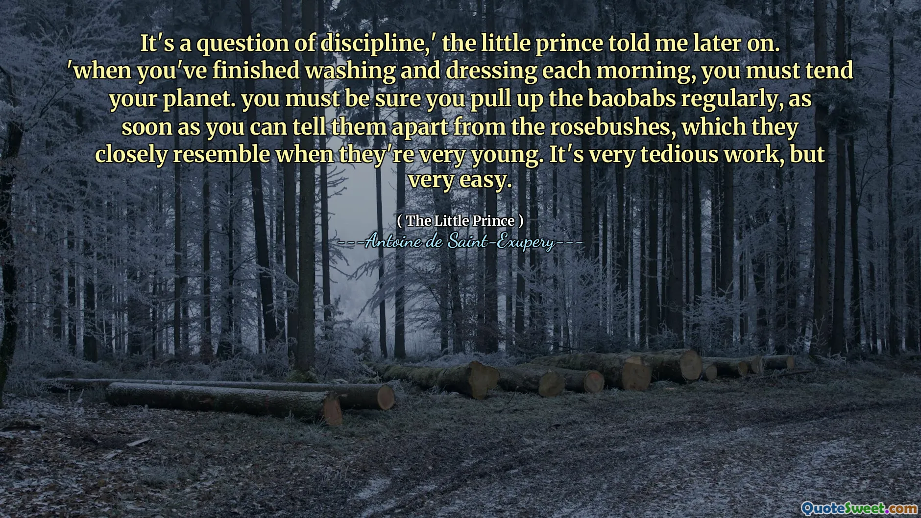 It's a question of discipline,' the little prince told me later on. 'when you've finished washing and dressing each morning, you must tend your planet. you must be sure you pull up the baobabs regularly, as soon as you can tell them apart from the rosebushes, which they closely resemble when they're very young. It's very tedious work, but very easy.