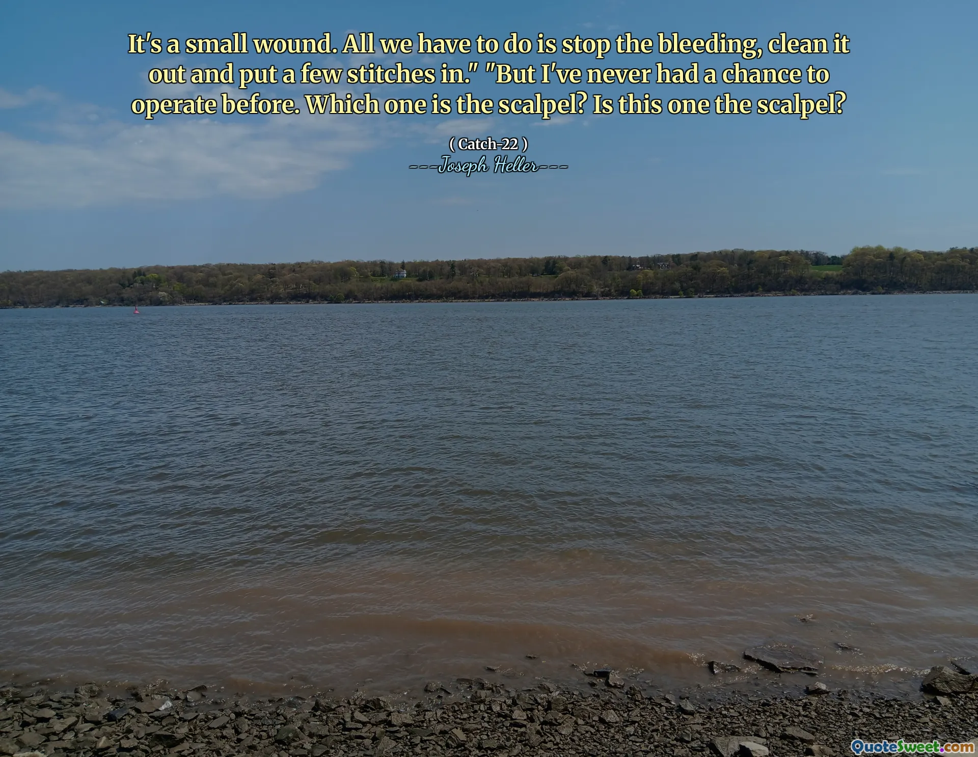 Det är ett litet sår. Allt vi behöver göra är att stoppa blödningen, rengöra den och lägga in några sömmar. "" Men jag har aldrig haft en chans att arbeta tidigare. Vilken är skalpellen? Är den här skalpellen?