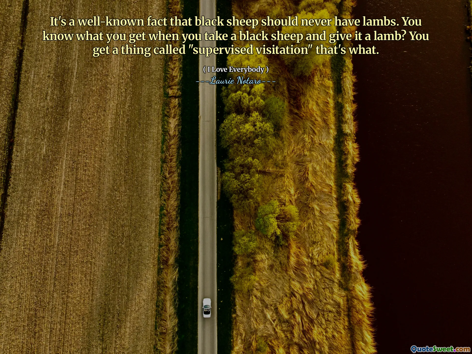It's a well-known fact that black sheep should never have lambs. You know what you get when you take a black sheep and give it a lamb? You get a thing called "supervised visitation" that's what.