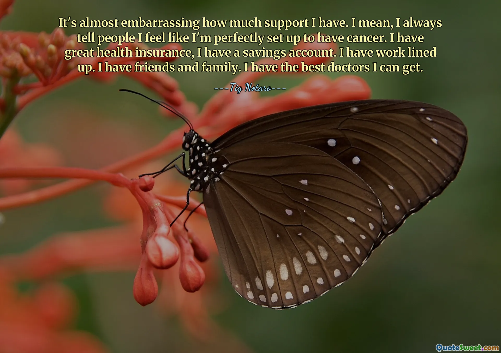 It's almost embarrassing how much support I have. I mean, I always tell people I feel like I'm perfectly set up to have cancer. I have great health insurance, I have a savings account. I have work lined up. I have friends and family. I have the best doctors I can get.