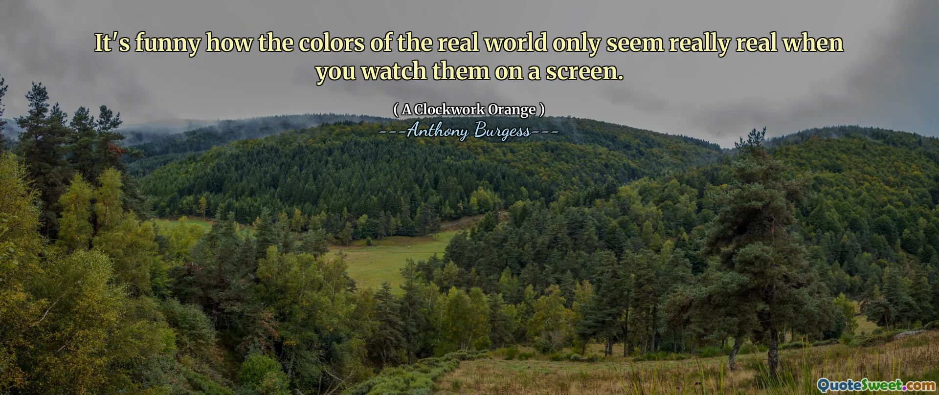 It's funny how the colors of the real world only seem really real when you watch them on a screen.