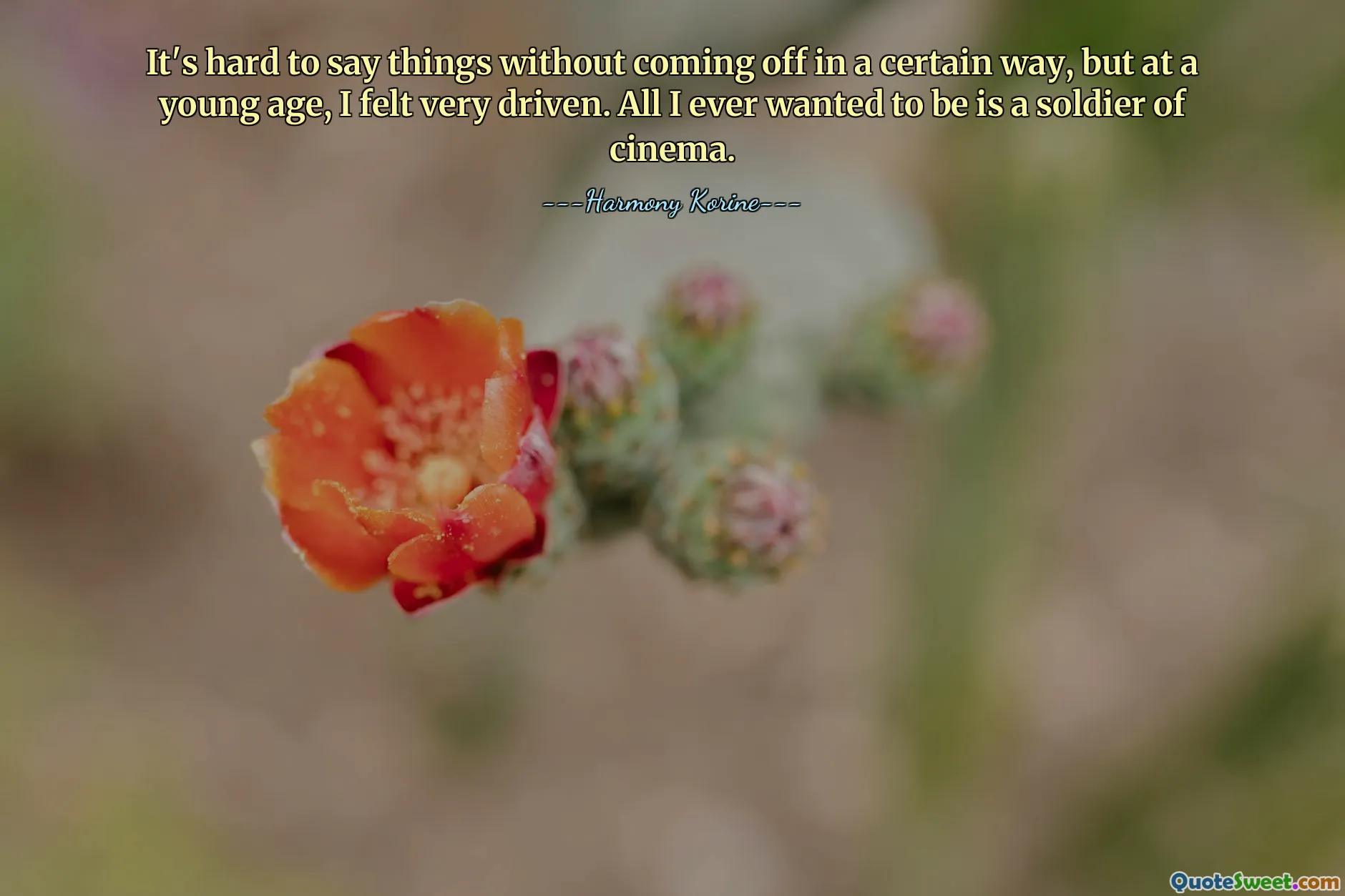 It's hard to say things without coming off in a certain way, but at a young age, I felt very driven. All I ever wanted to be is a soldier of cinema.