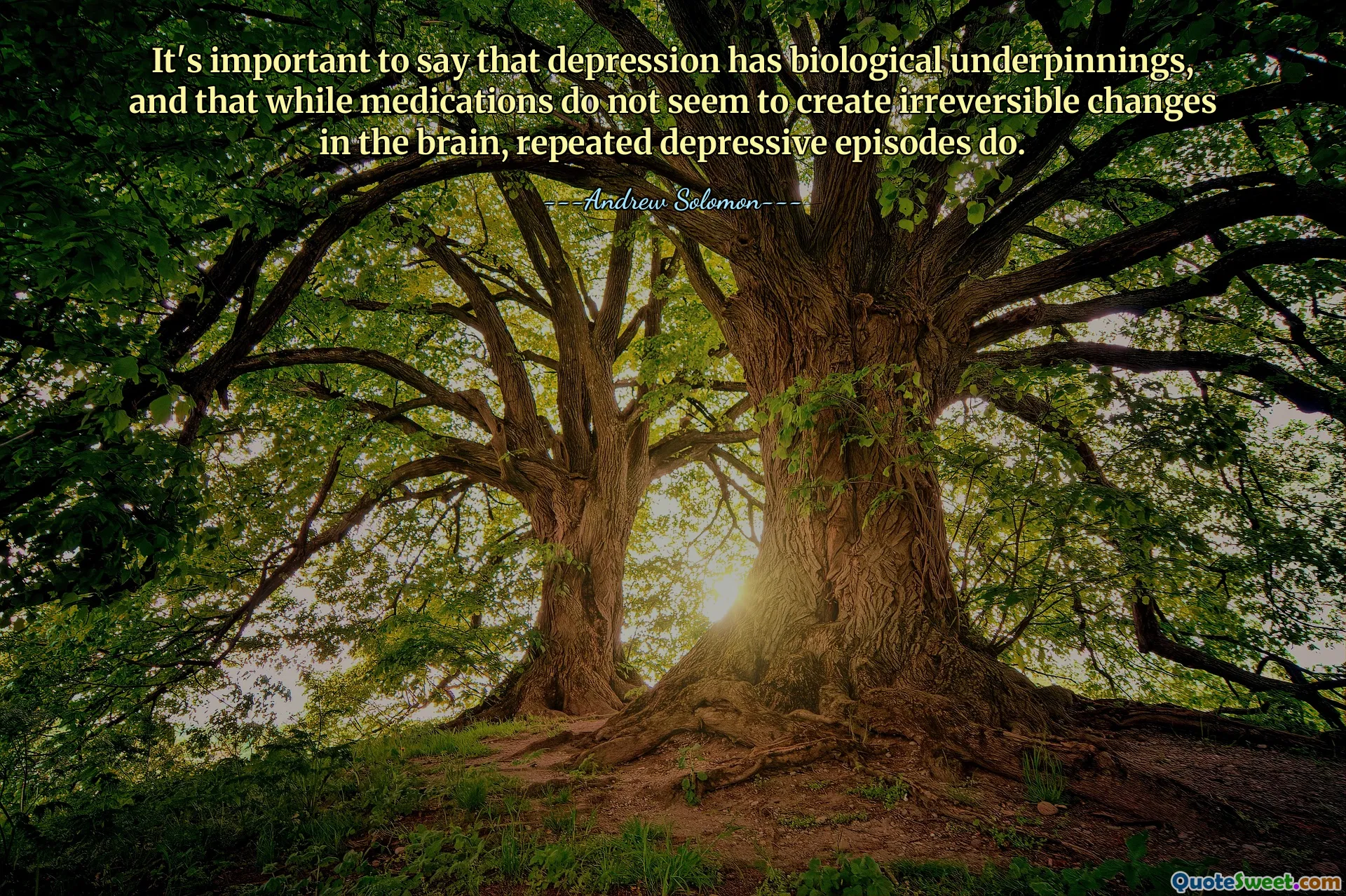 It's important to say that depression has biological underpinnings, and that while medications do not seem to create irreversible changes in the brain, repeated depressive episodes do.