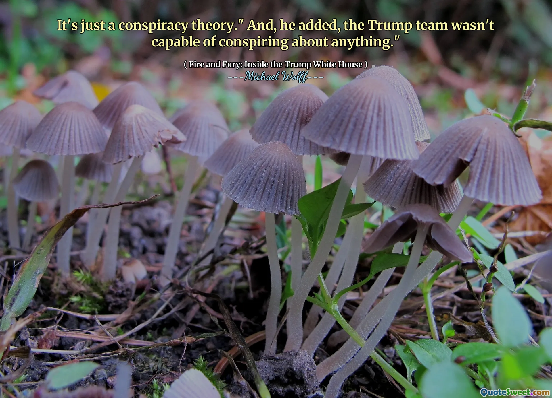 It's just a conspiracy theory." And, he added, the Trump team wasn't capable of conspiring about anything."