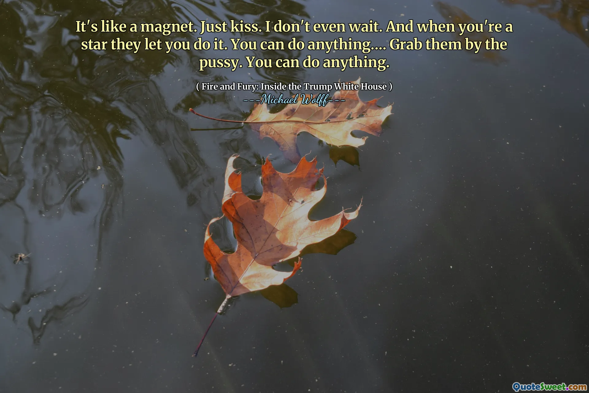 It's like a magnet. Just kiss. I don't even wait. And when you're a star they let you do it. You can do anything.… Grab them by the pussy. You can do anything.