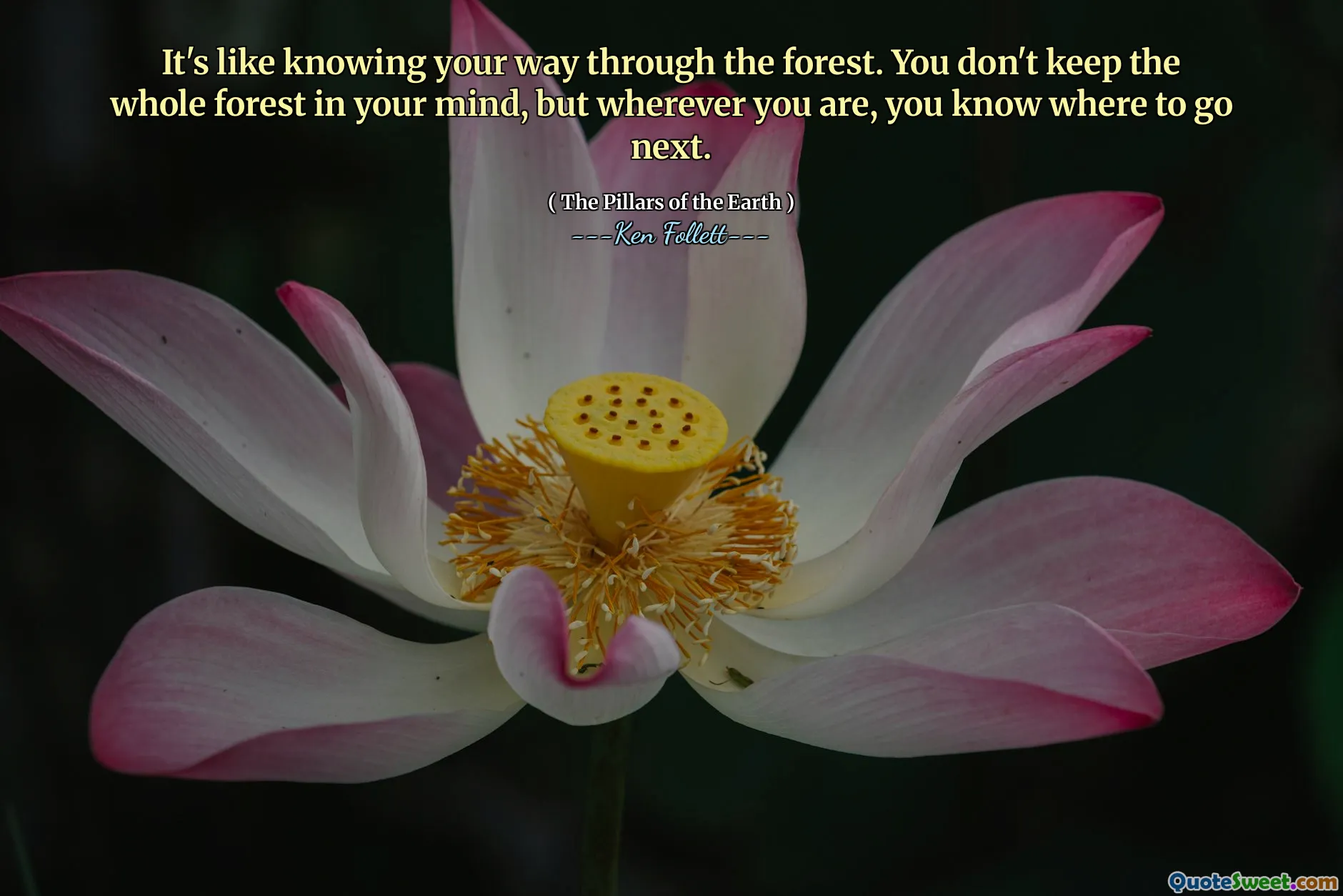 It's like knowing your way through the forest. You don't keep the whole forest in your mind, but wherever you are, you know where to go next.