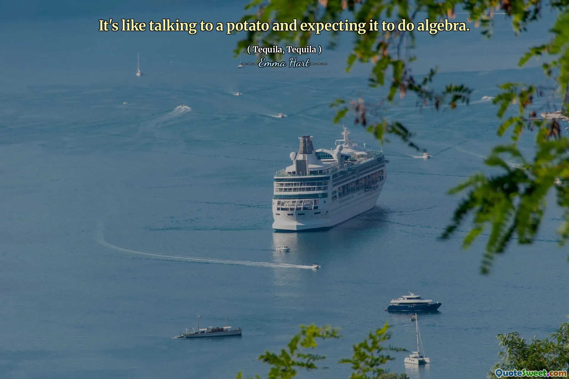 Det er som å snakke med en potet og forvente at den skal gjøre algebra.