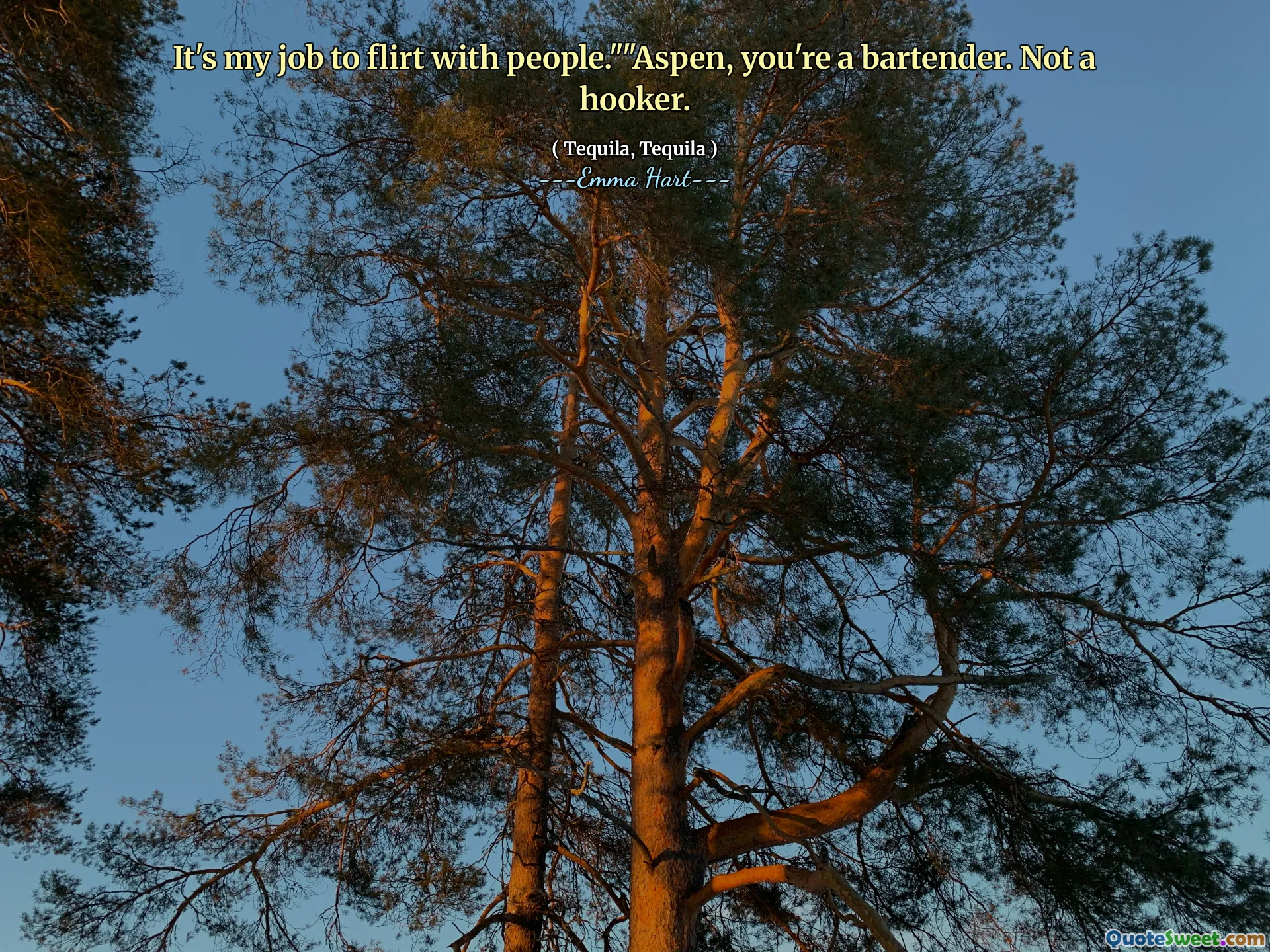 من وظيفتي أن تغازل الناس. "" Aspen ، أنت نادل. ليس هوكر.