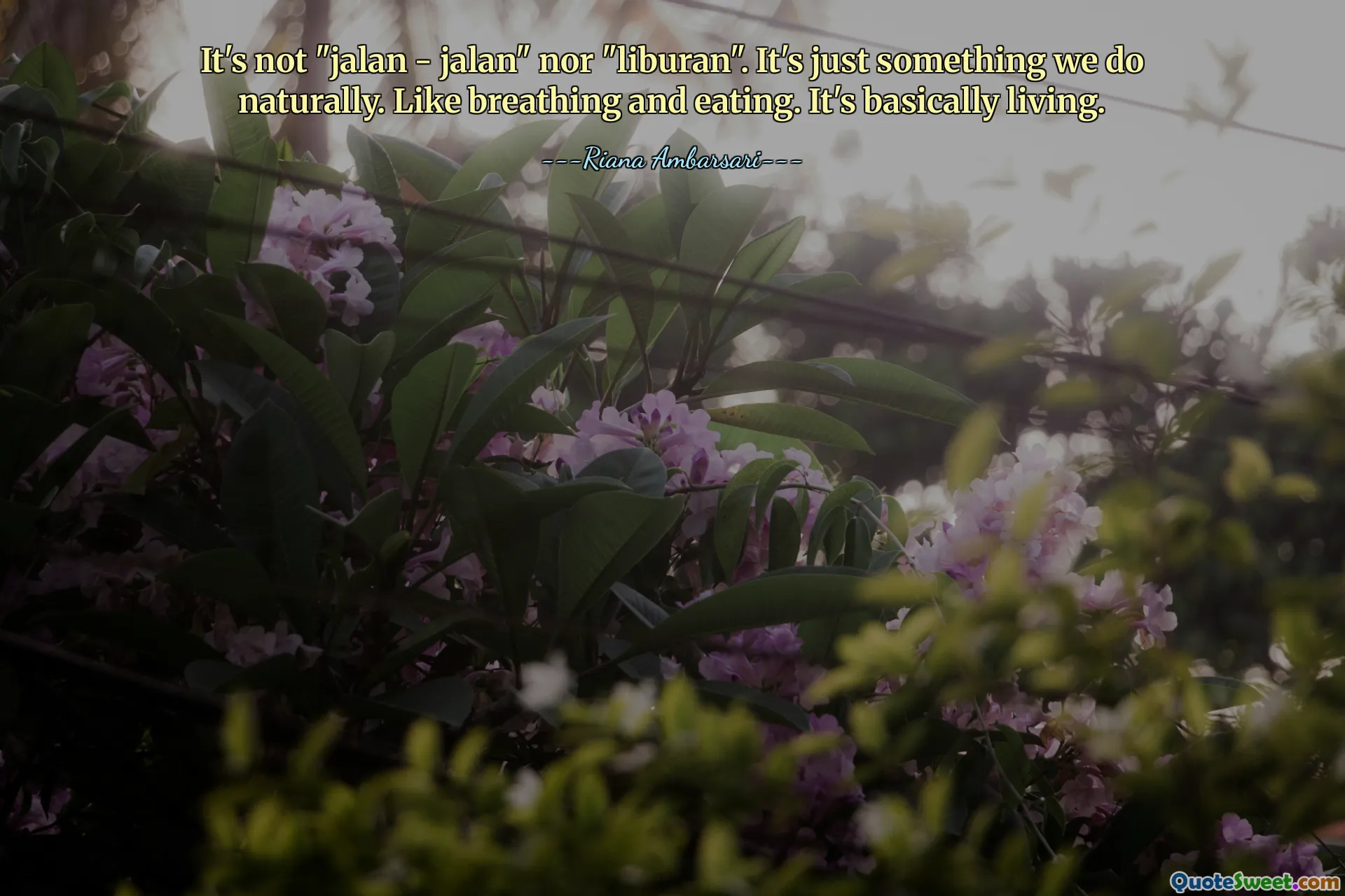 It's not "jalan - jalan" nor "liburan". It's just something we do naturally. Like breathing and eating. It's basically living.