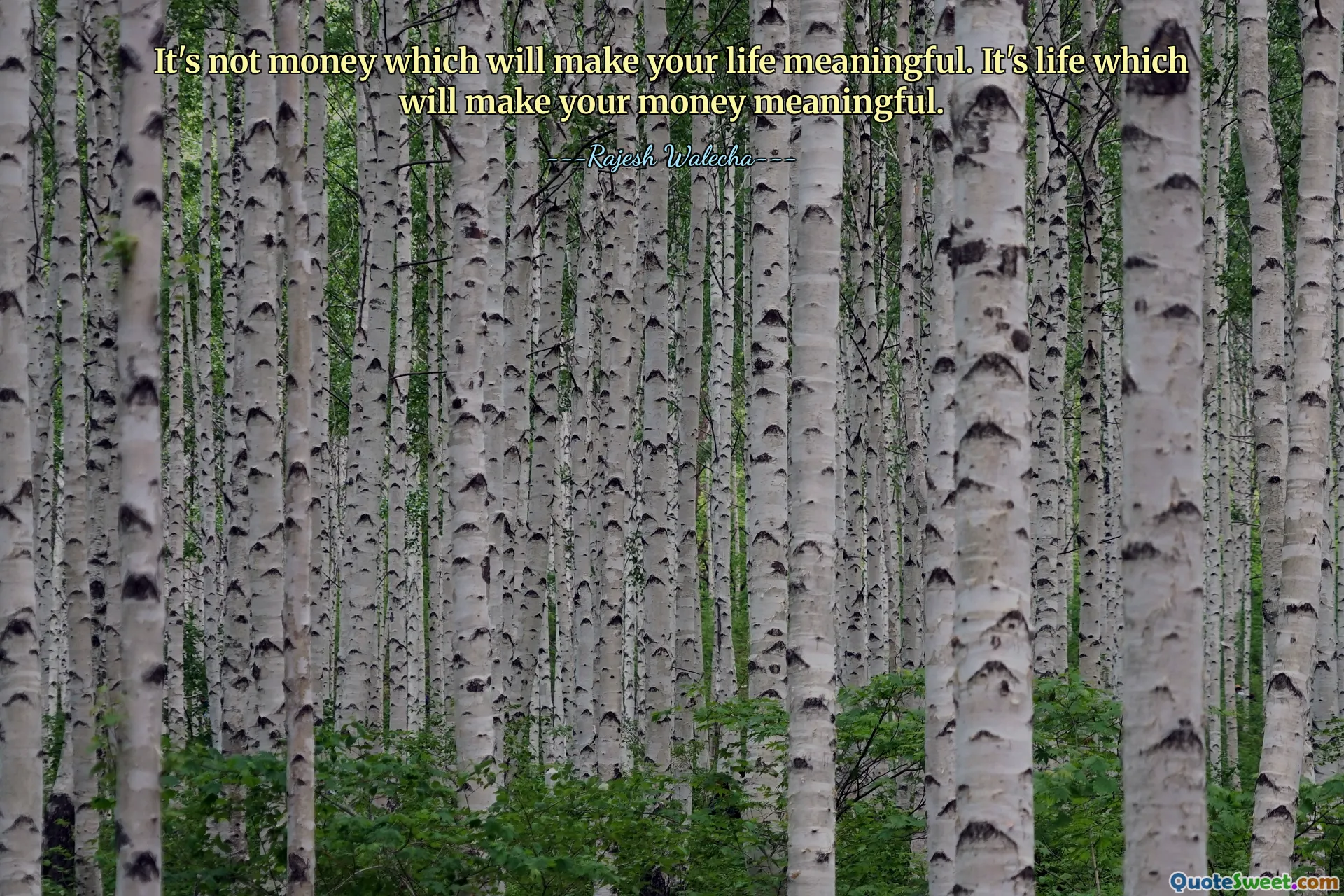 It's not money which will make your life meaningful. It's life which will make your money meaningful.