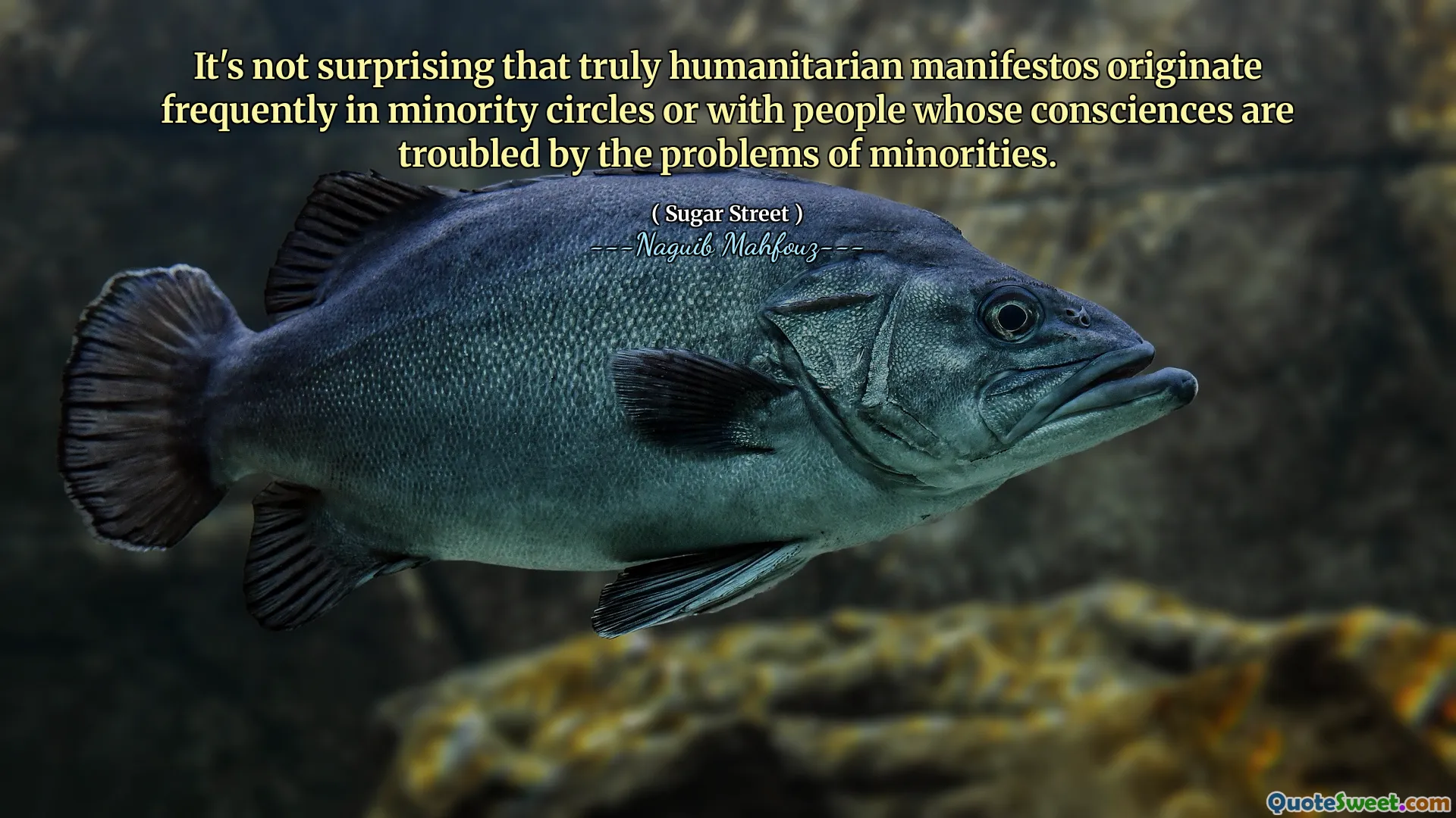 ليس من المستغرب أن تنشأ البيان الإنسانية حقًا بشكل متكرر في دوائر الأقليات أو مع الأشخاص الذين تزعجهم ضمائرهم من مشاكل الأقليات.