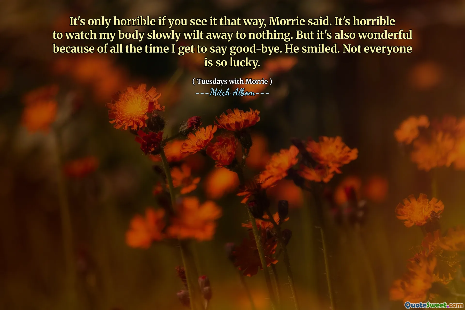 È solo orribile se lo vedi in questo modo, ha detto Morrie. È orribile guardare il mio corpo lentamente sfuggire a nulla. Ma è anche meraviglioso a causa di tutto il tempo che posso dire addio. Lui sorrise. Non tutti sono così fortunati.