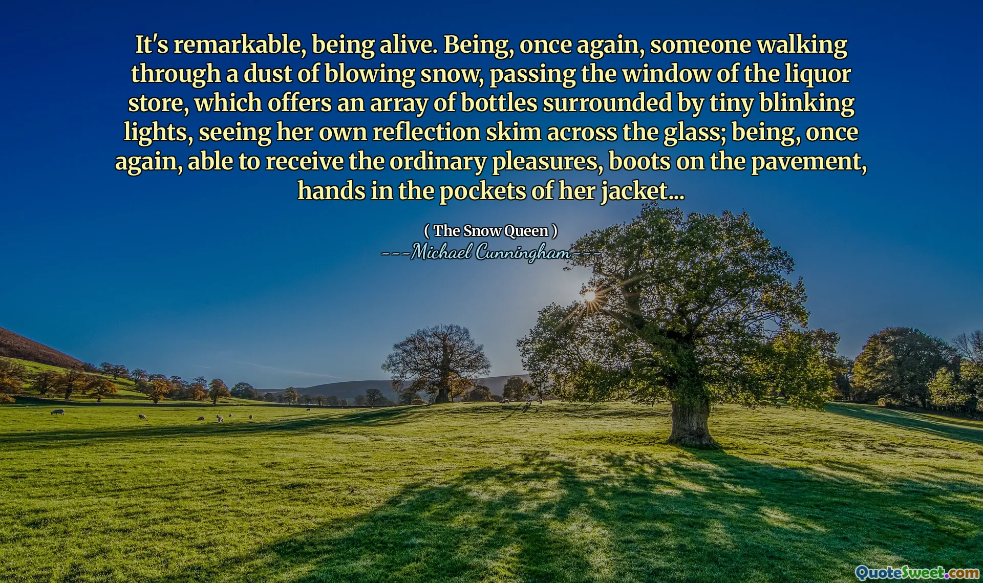 It's remarkable, being alive. Being, once again, someone walking through a dust of blowing snow, passing the window of the liquor store, which offers an array of bottles surrounded by tiny blinking lights, seeing her own reflection skim across the glass; being, once again, able to receive the ordinary pleasures, boots on the pavement, hands in the pockets of her jacket...