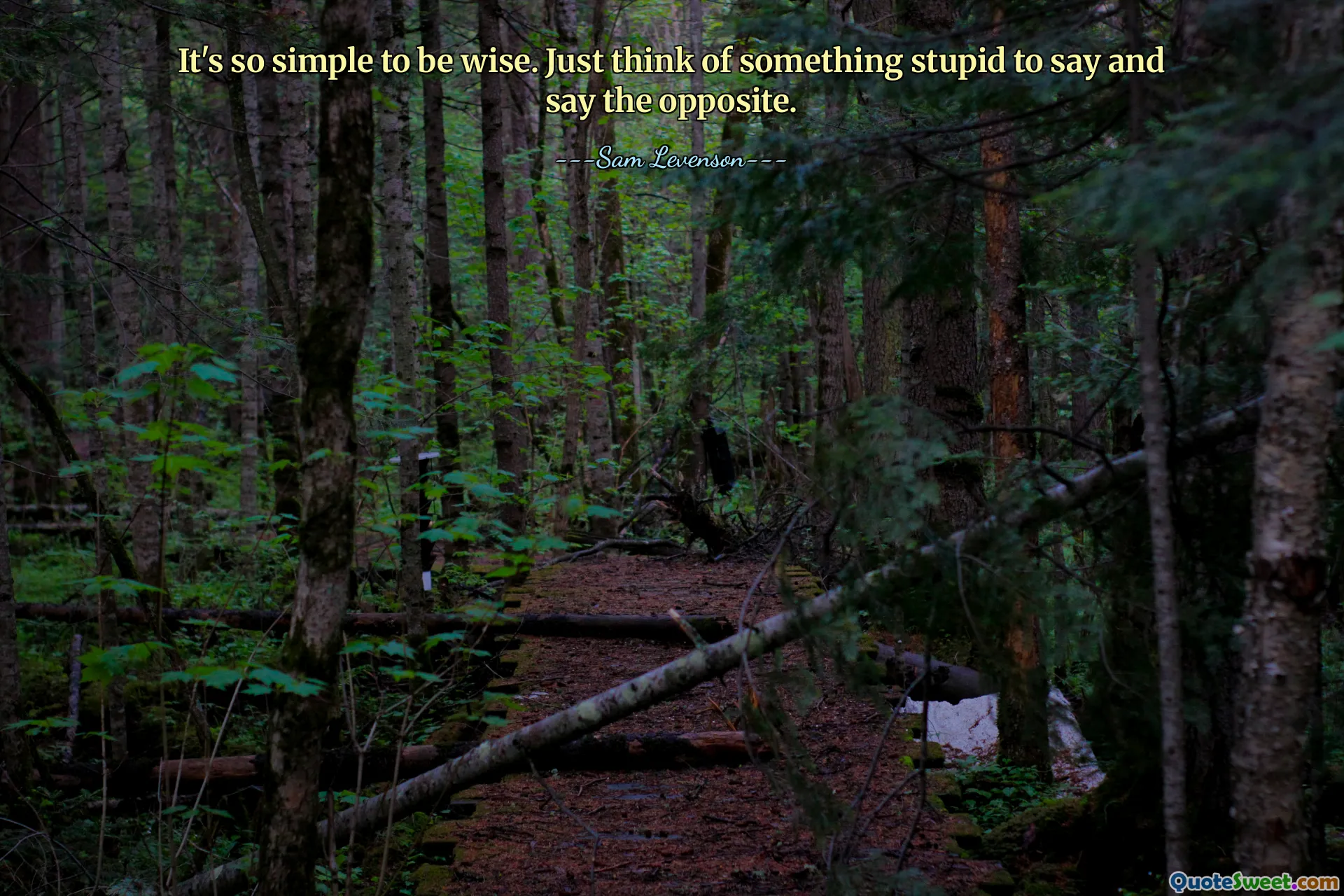 Быть мудрым так просто. Просто придумай что-нибудь глупое, чтобы сказать, и скажи обратное.