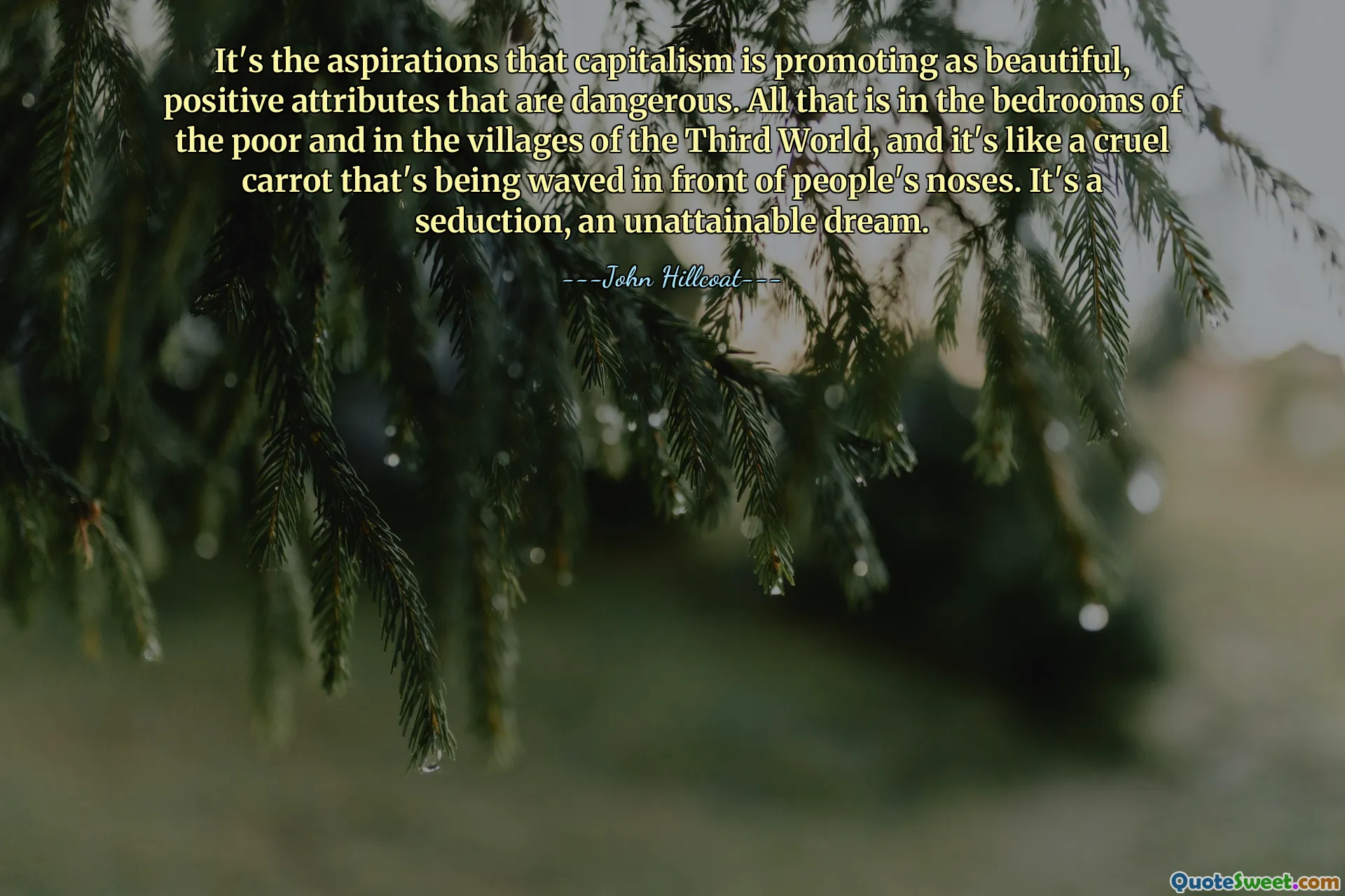 It's the aspirations that capitalism is promoting as beautiful, positive attributes that are dangerous. All that is in the bedrooms of the poor and in the villages of the Third World, and it's like a cruel carrot that's being waved in front of people's noses. It's a seduction, an unattainable dream.