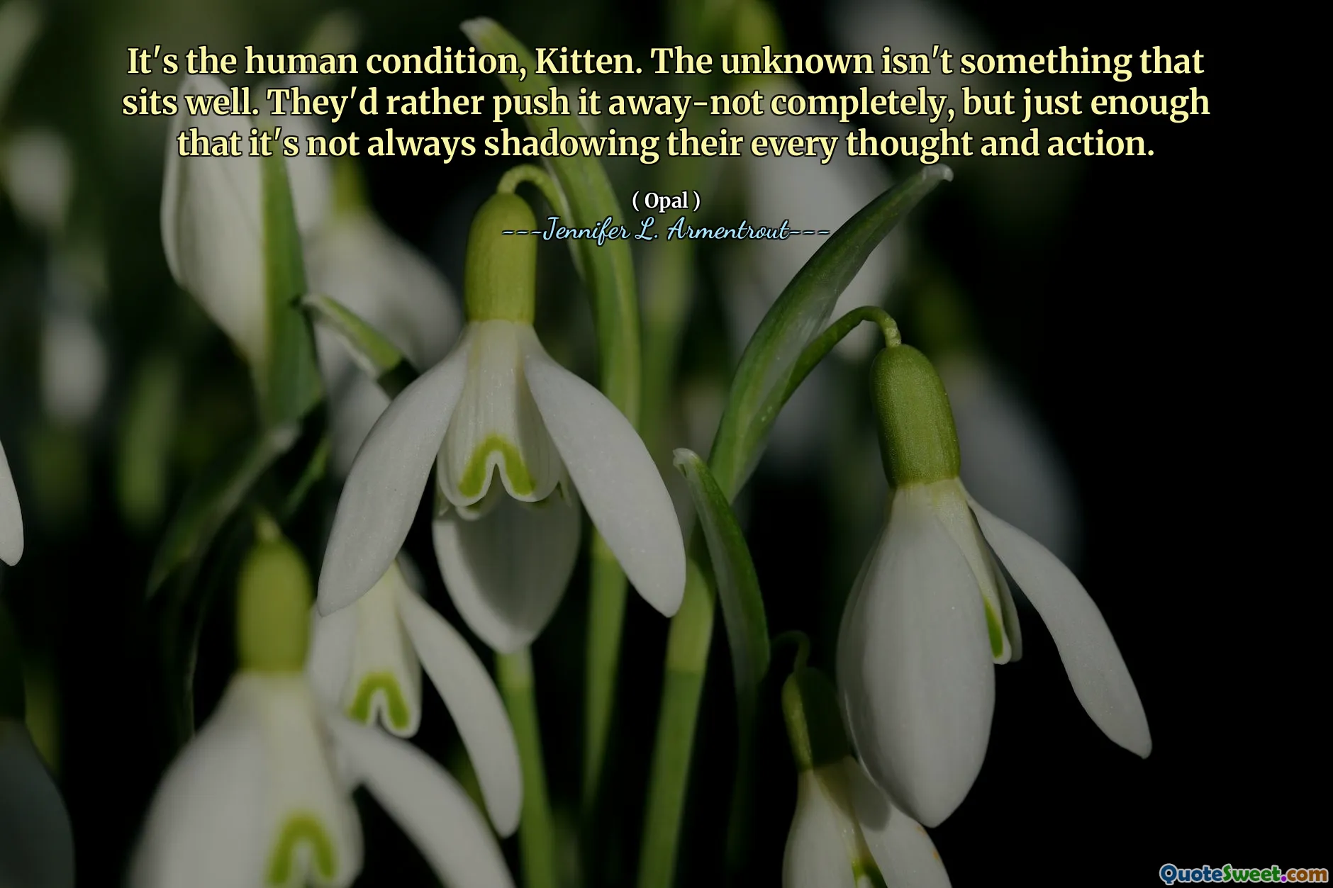 It's the human condition, Kitten. The unknown isn't something that sits well. They'd rather push it away-not completely, but just enough that it's not always shadowing their every thought and action.